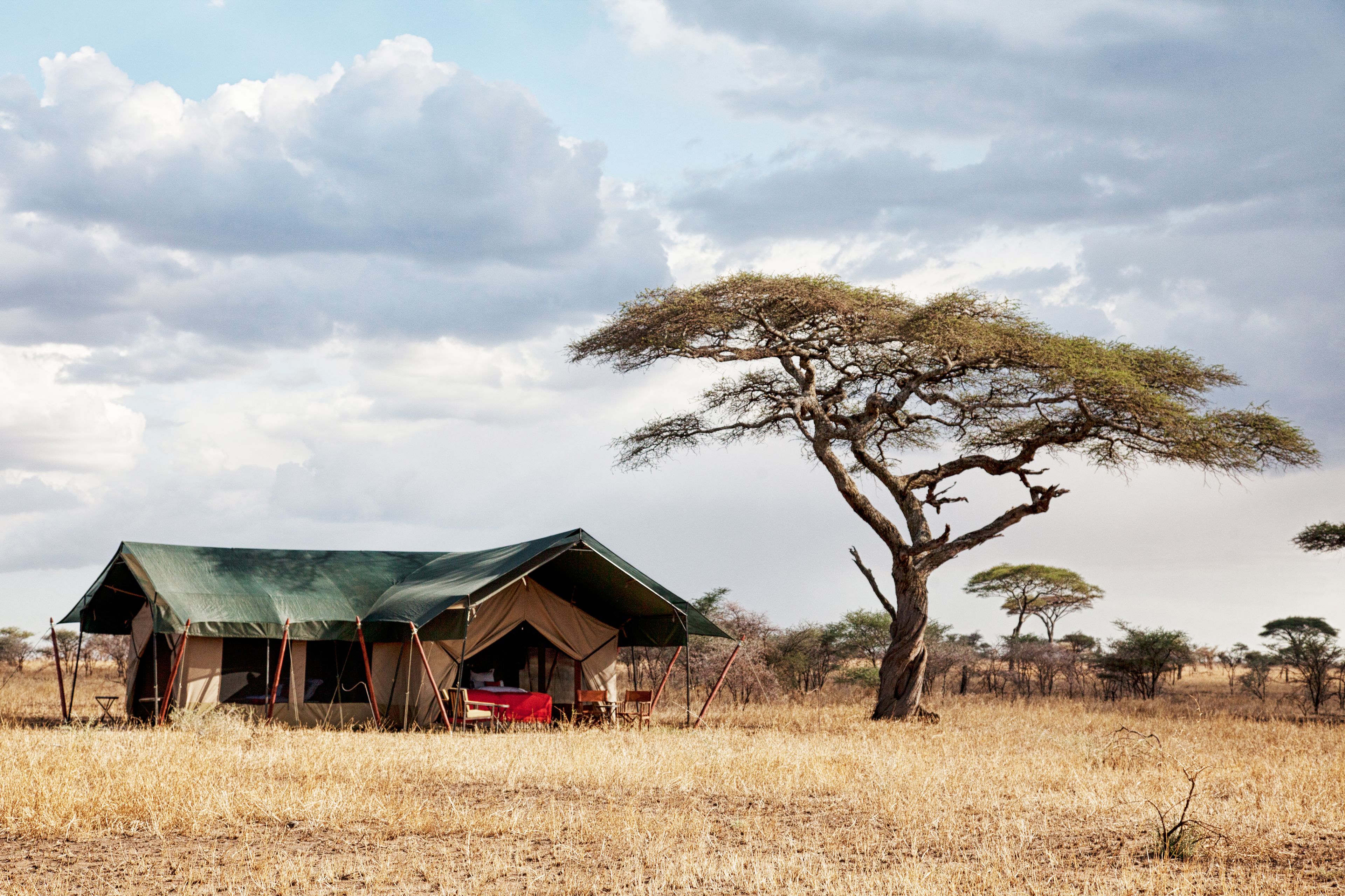 Pumzika Luxury Safari Camp