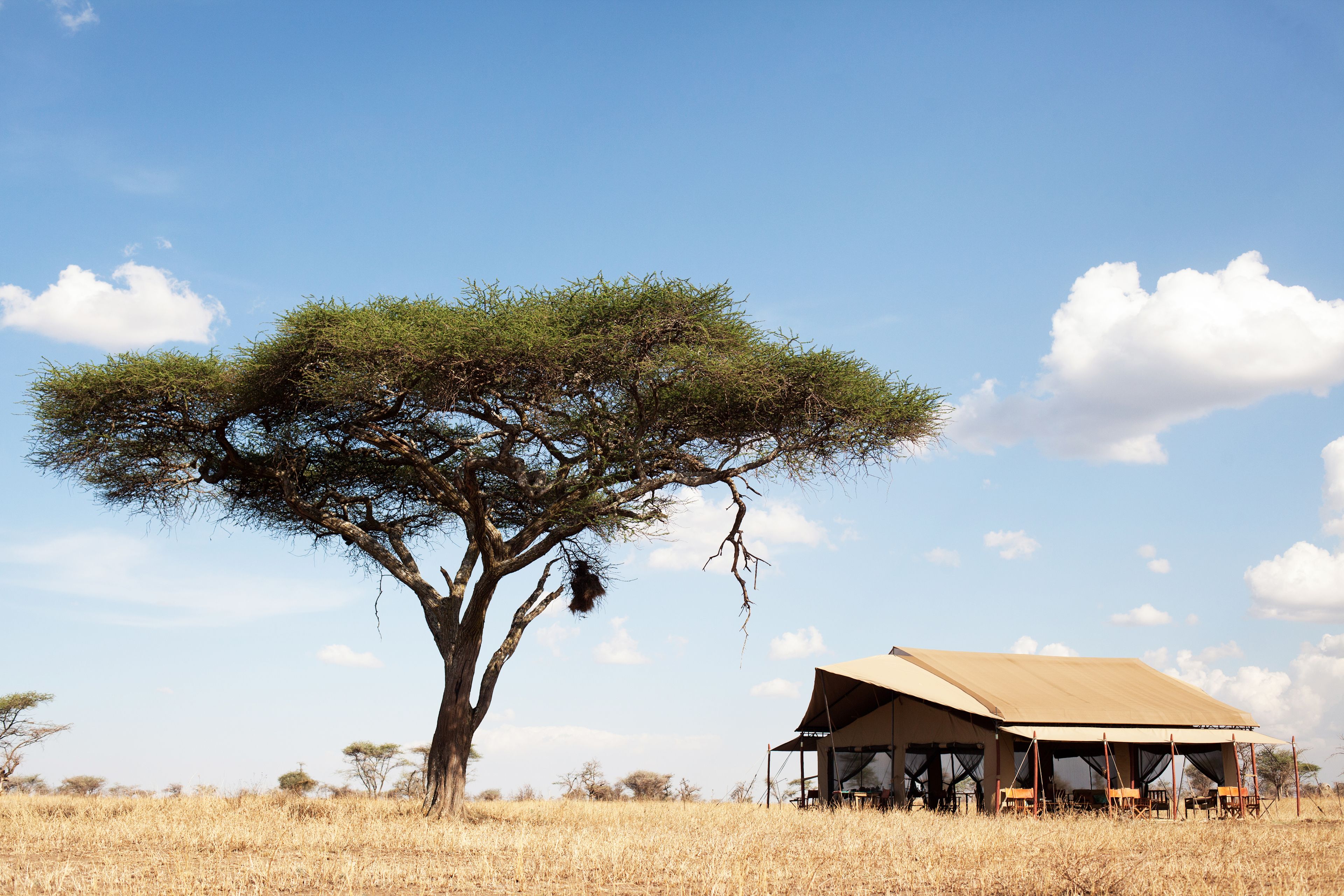 Pumzika Luxury Safari Camp