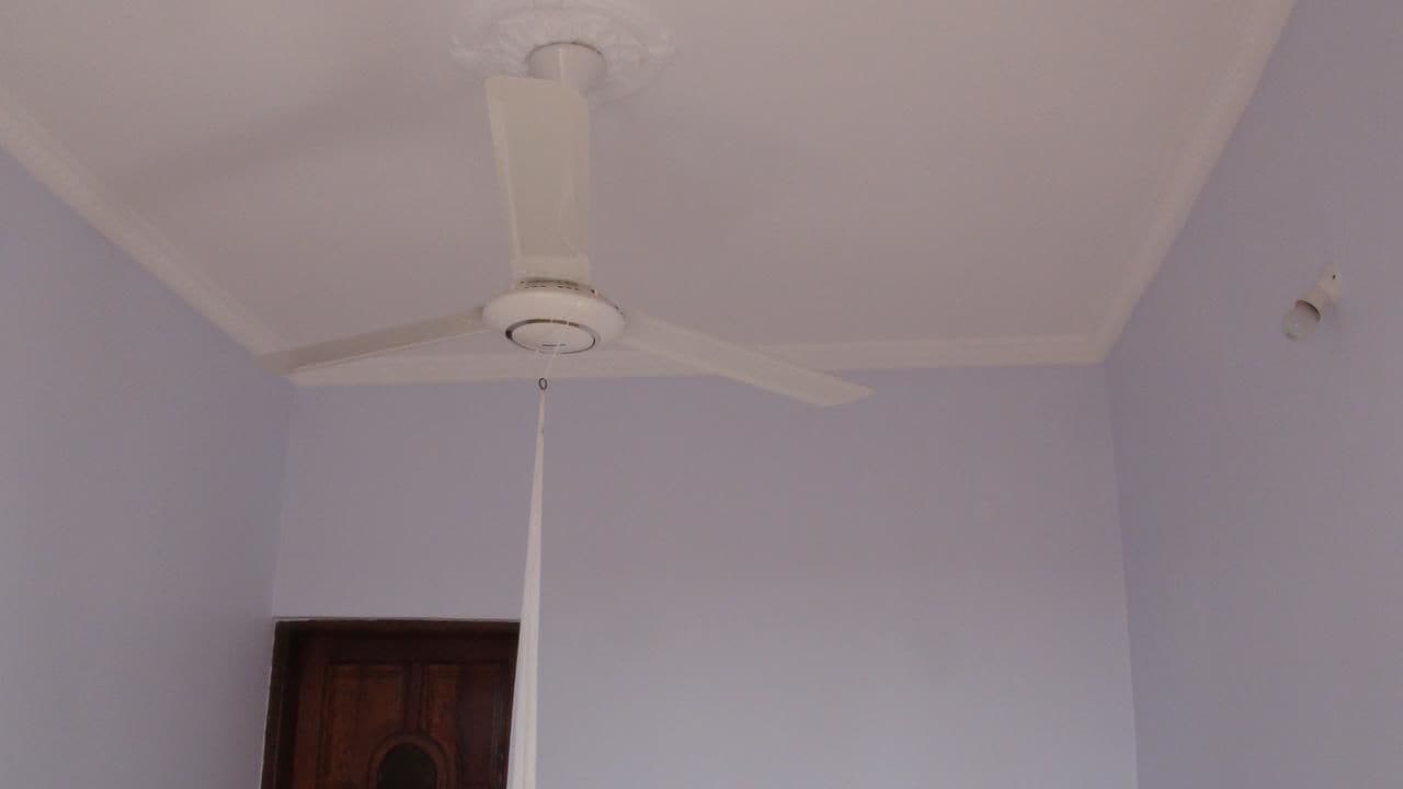 Crim Wind Freedom