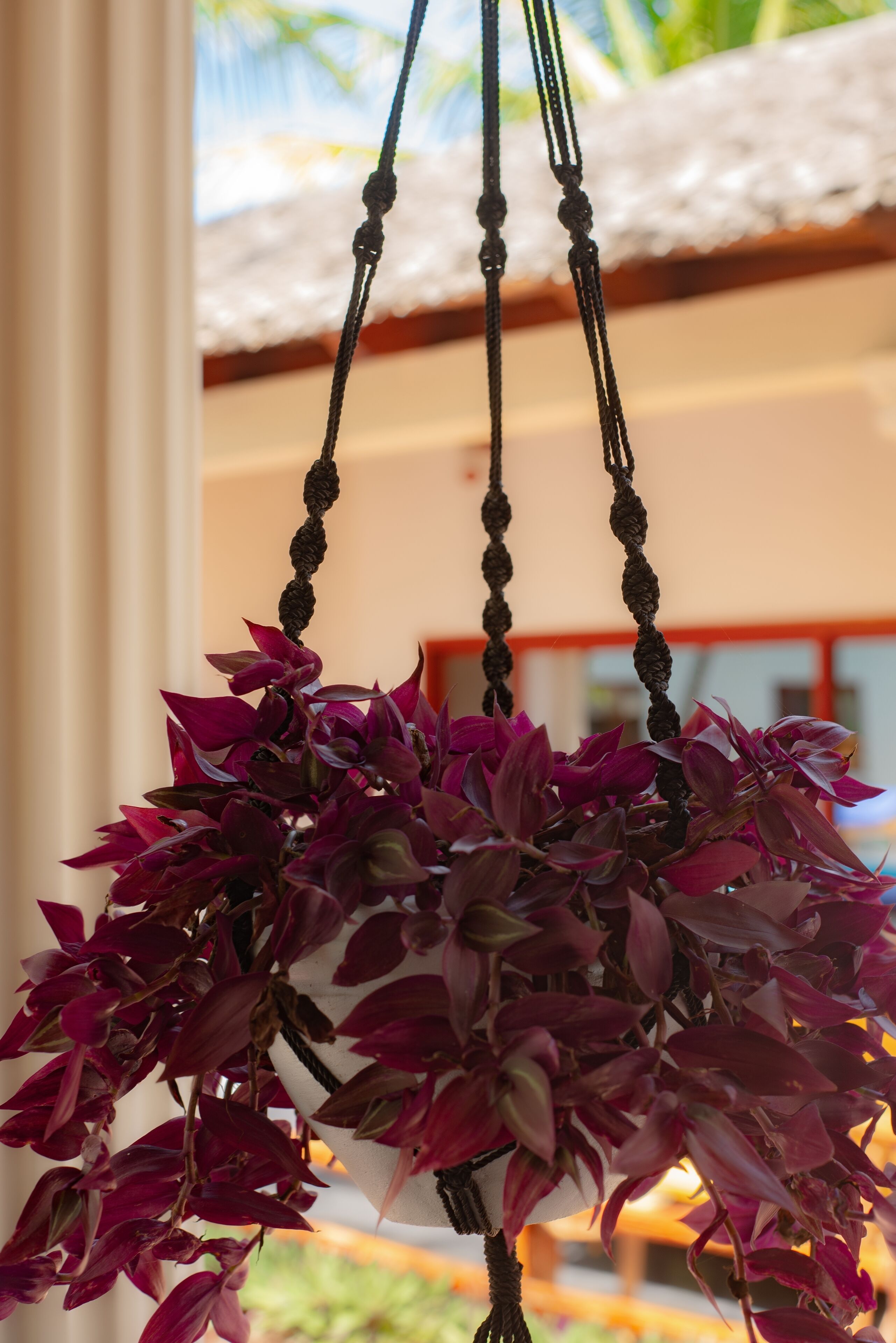 Little Pompeii Boutique Hotel