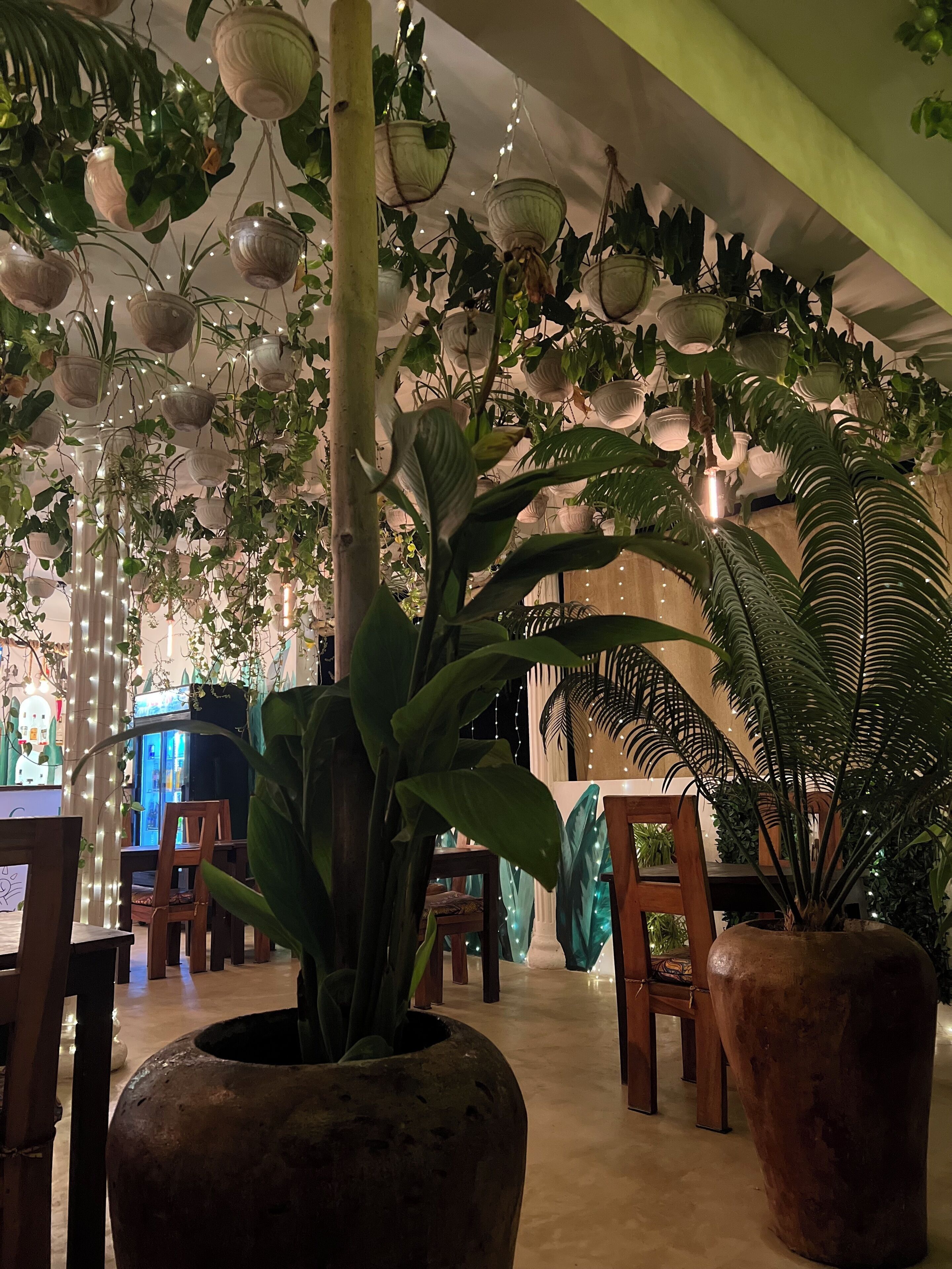 Residence Gadea Zanzibar