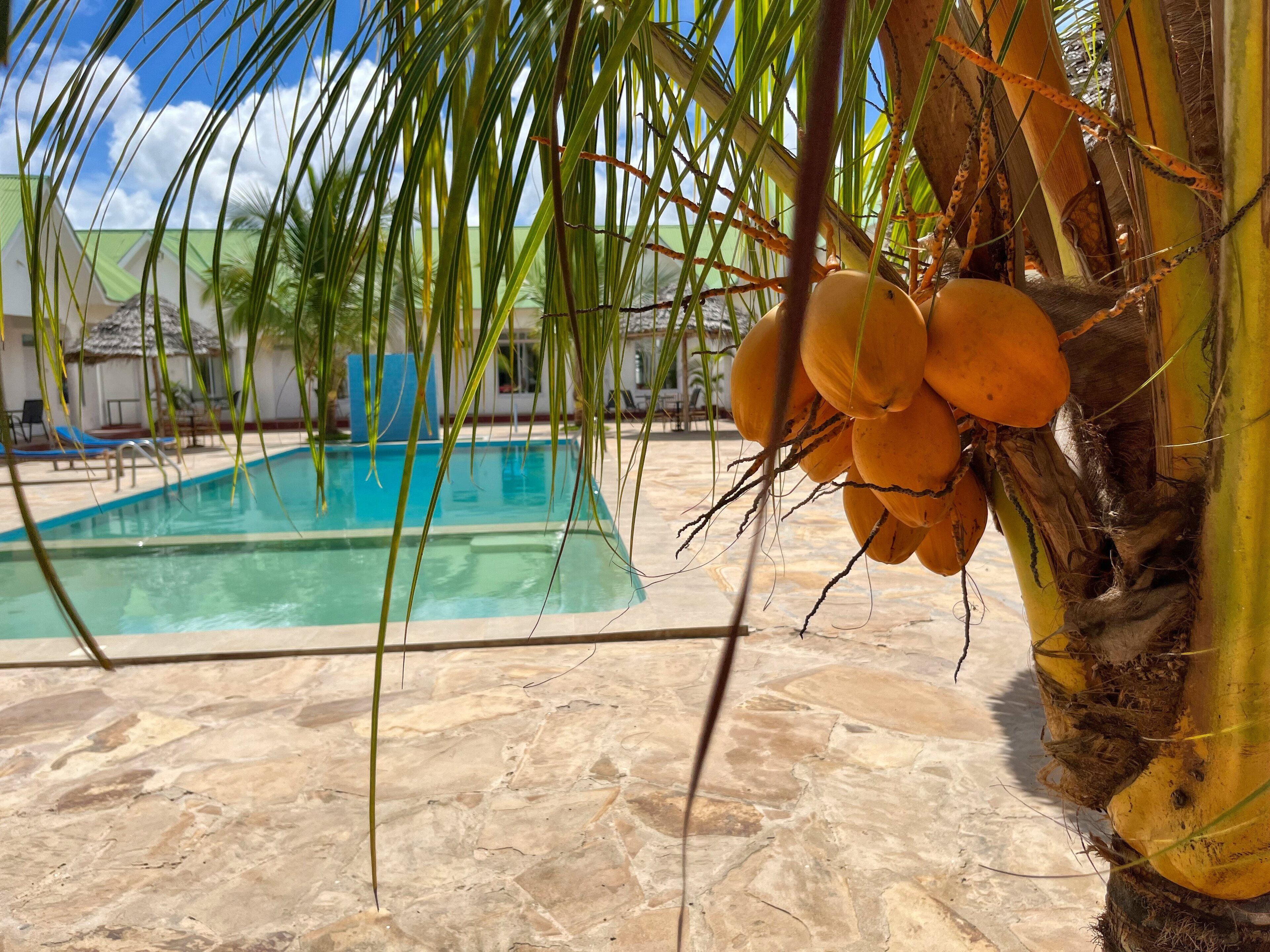 Sunrise Hotel & Resort
