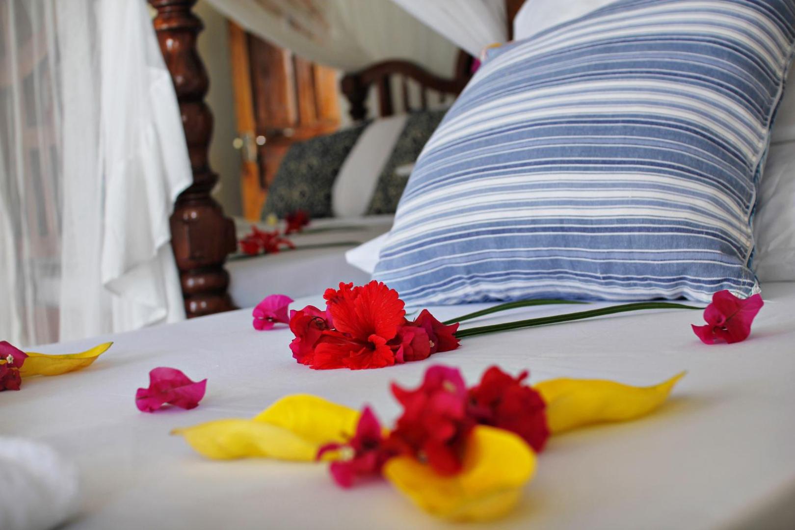 Aya Beach Bungalows