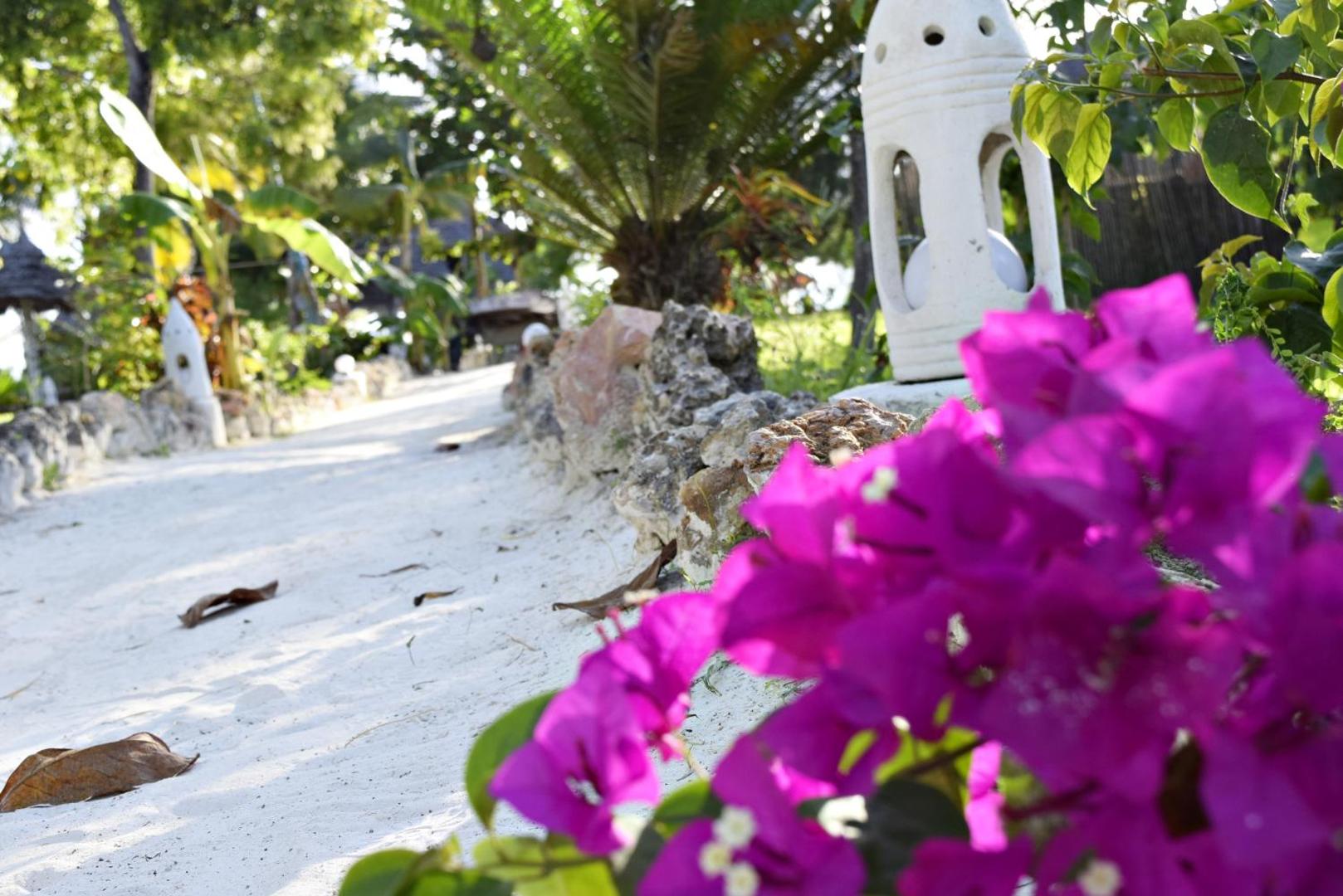 Aya Beach Bungalows