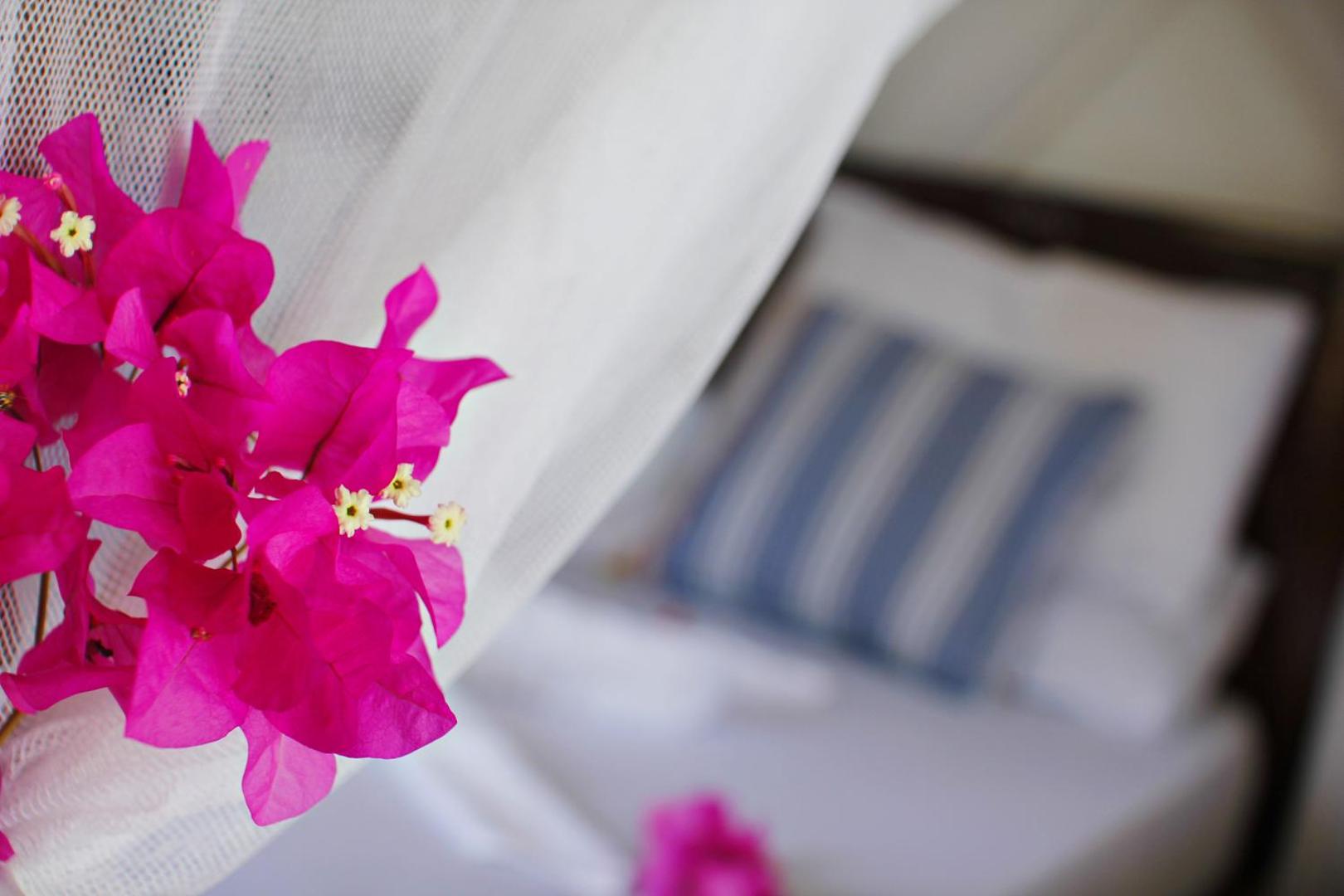 Aya Beach Bungalows