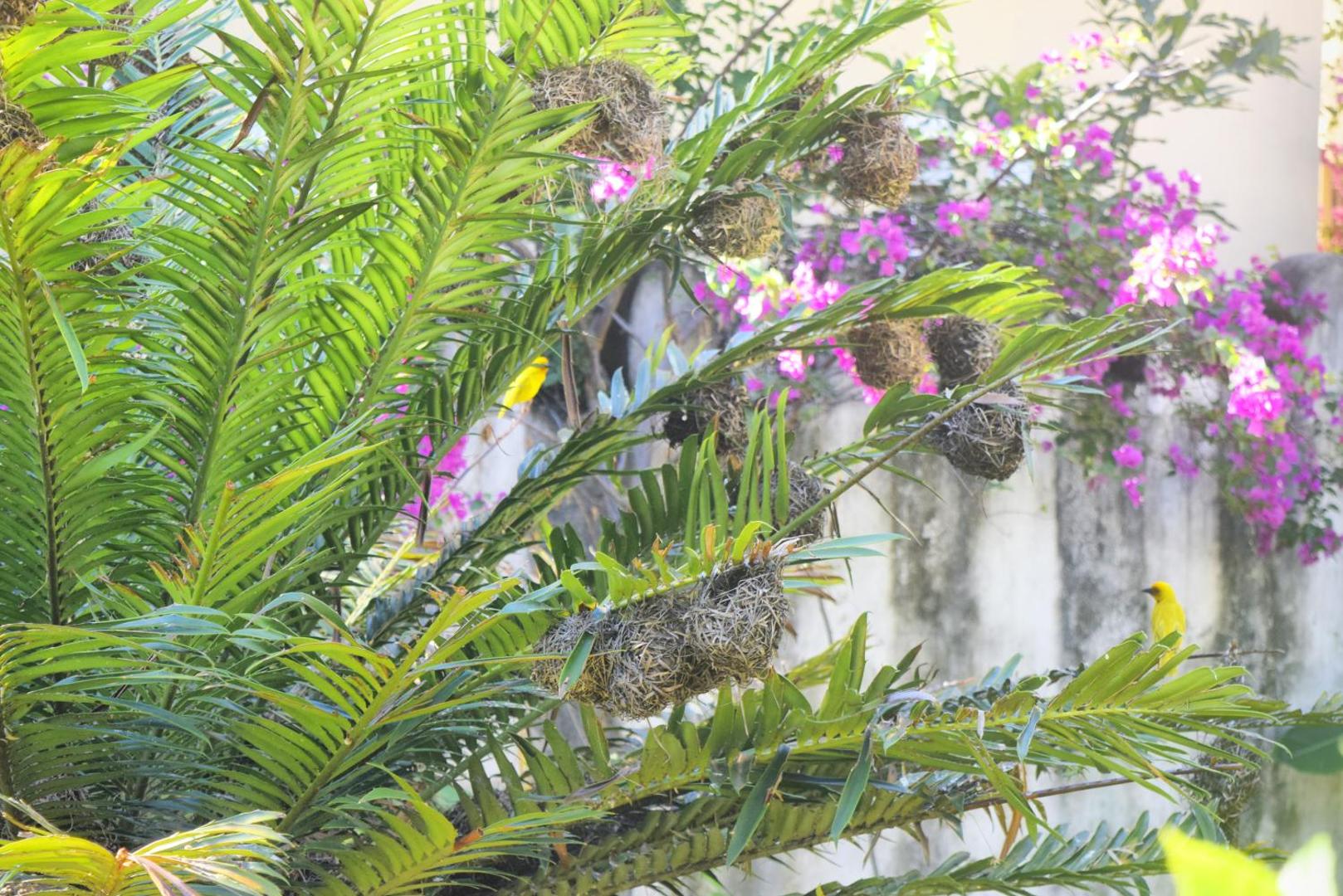 Aya Beach Bungalows
