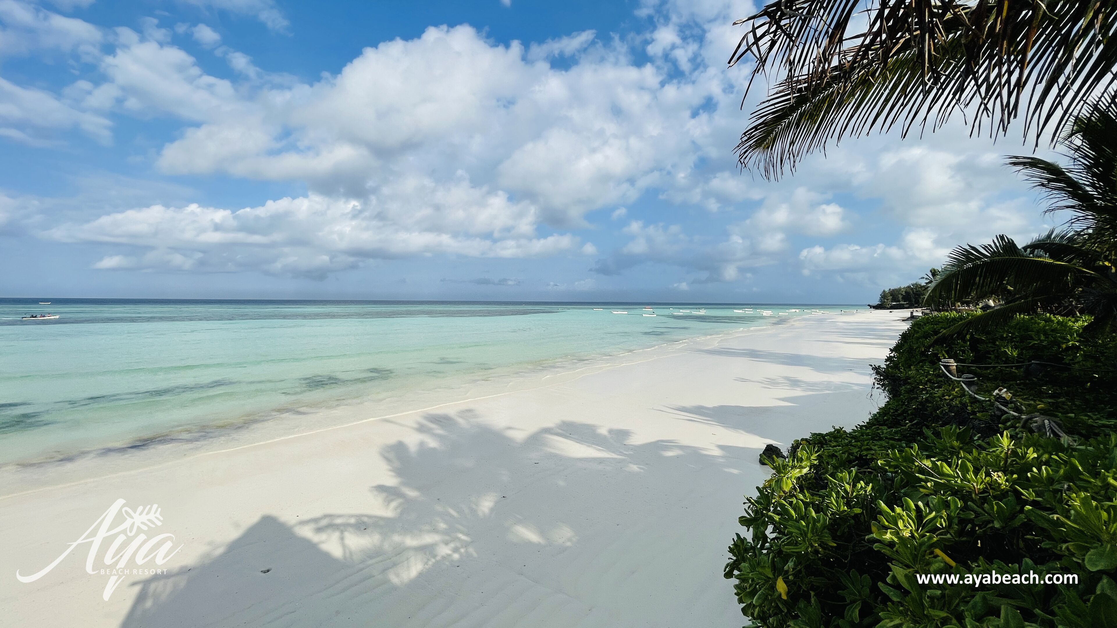 Aya Beach Bungalows