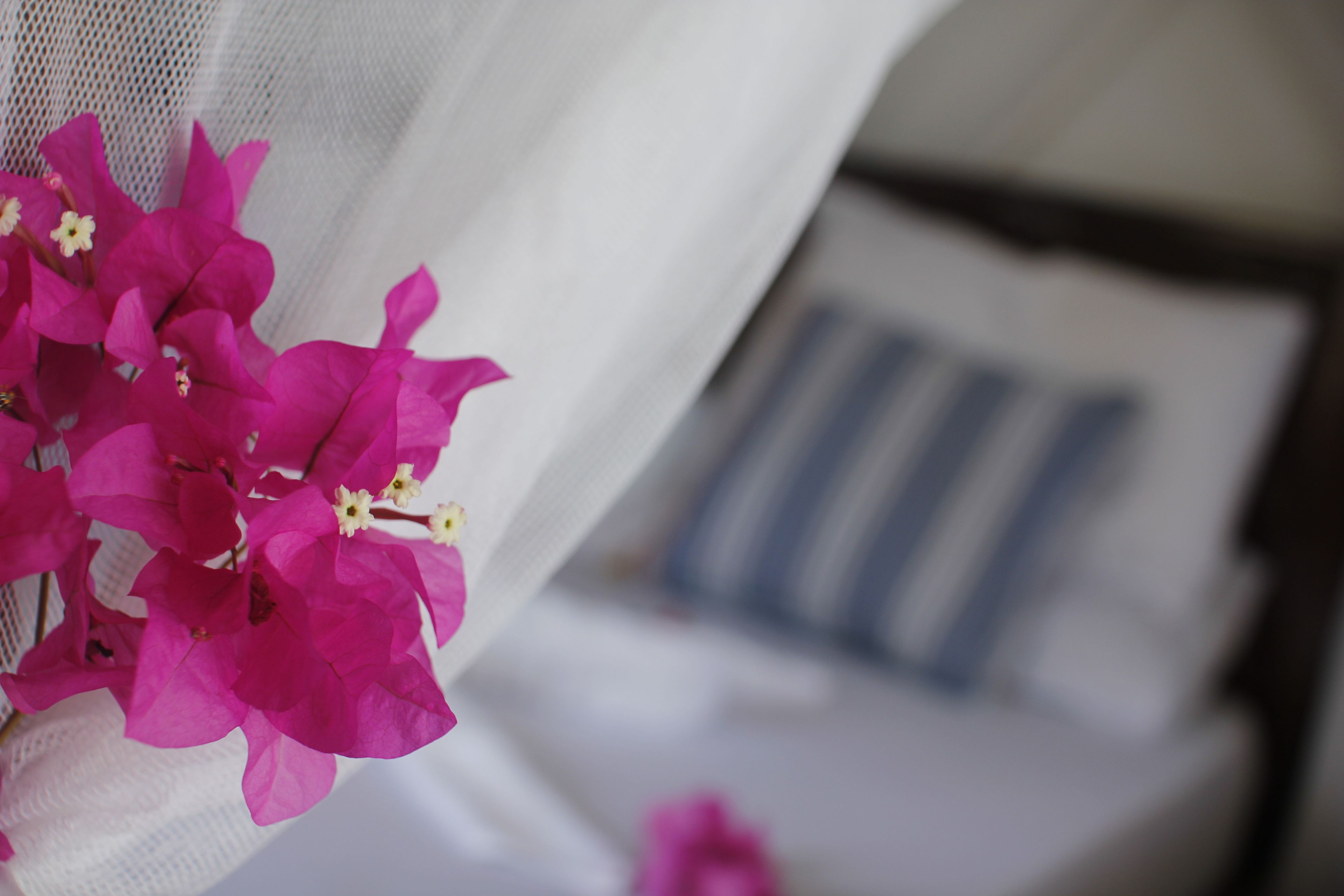 Aya Beach Bungalows
