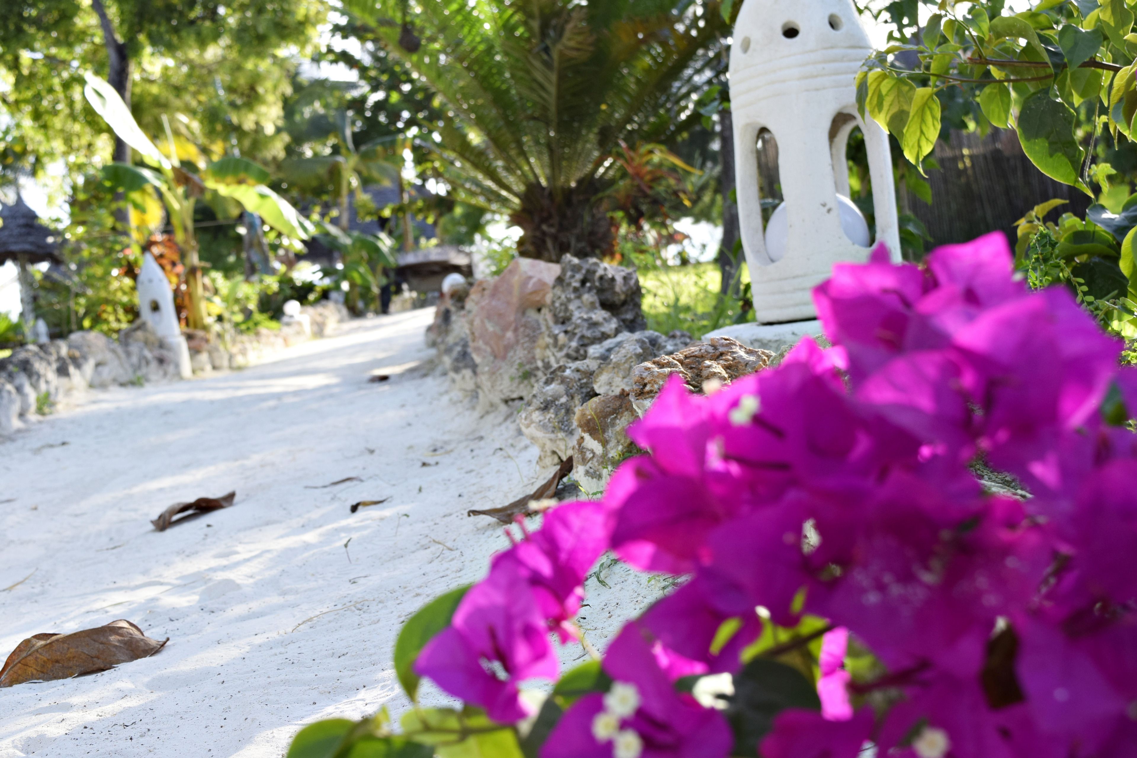 Aya Beach Bungalows