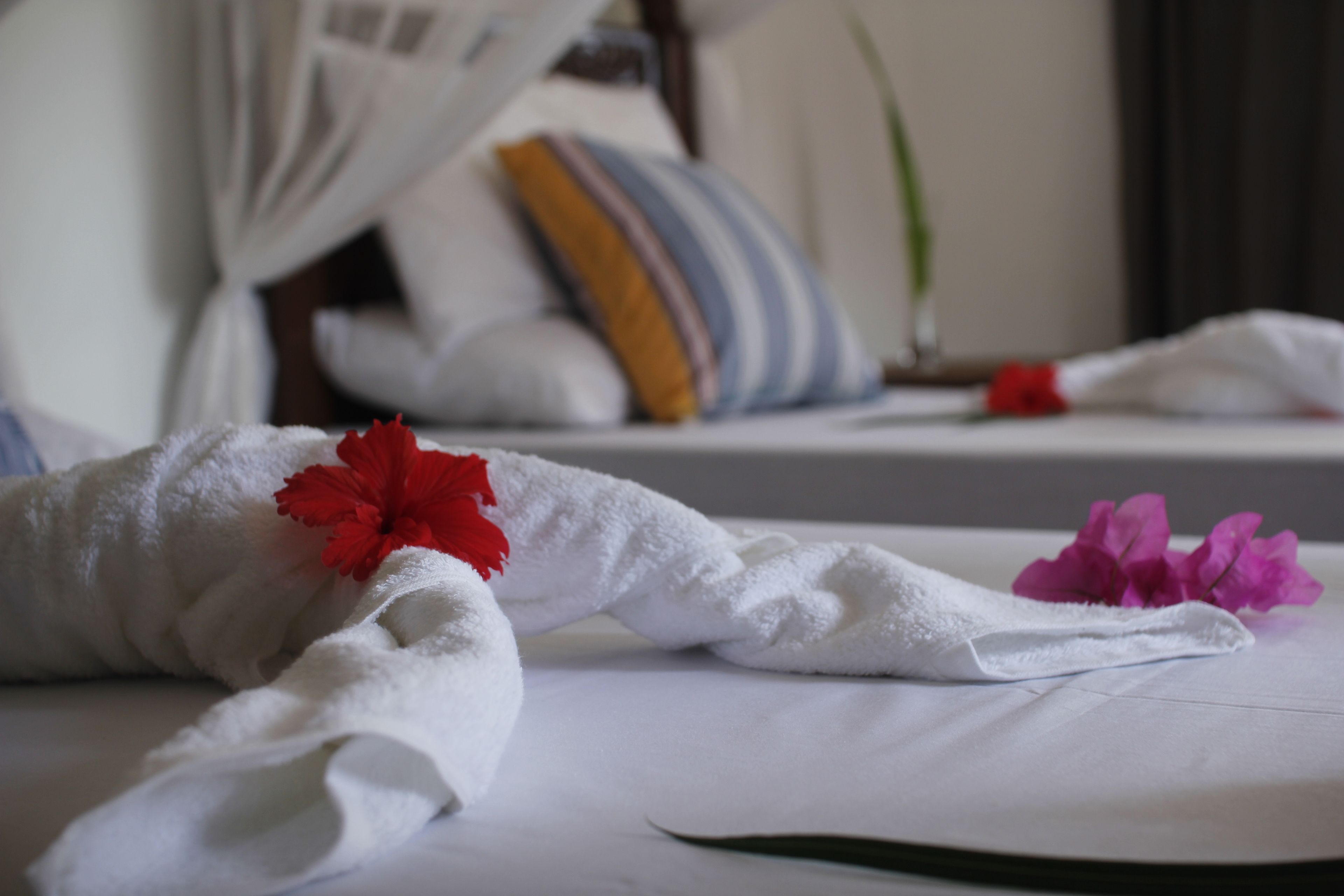 Aya Beach Bungalows