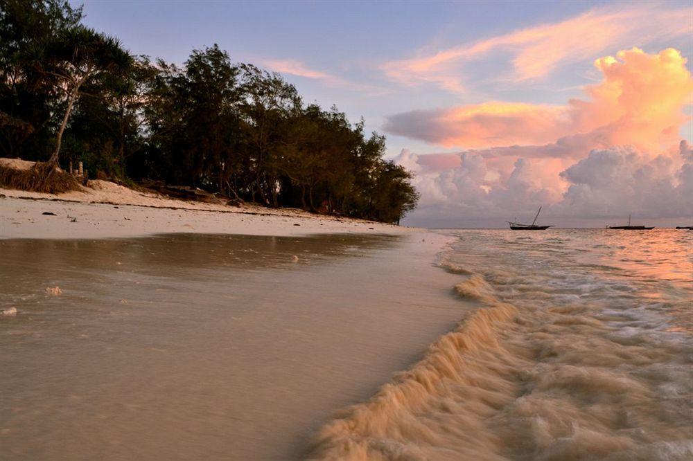 Nest Style Beach Zanzibar