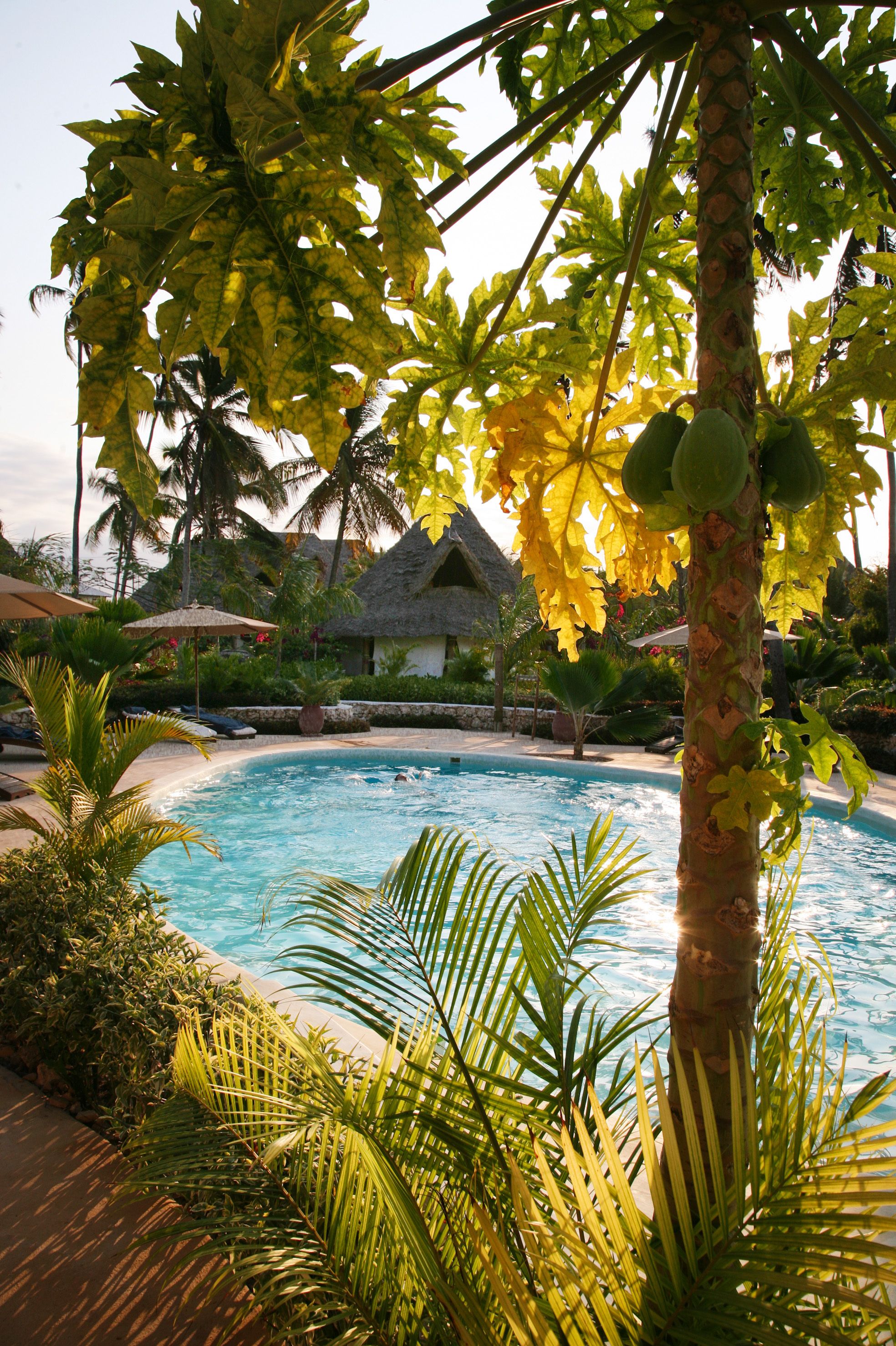 SeVi Boutique Hotel