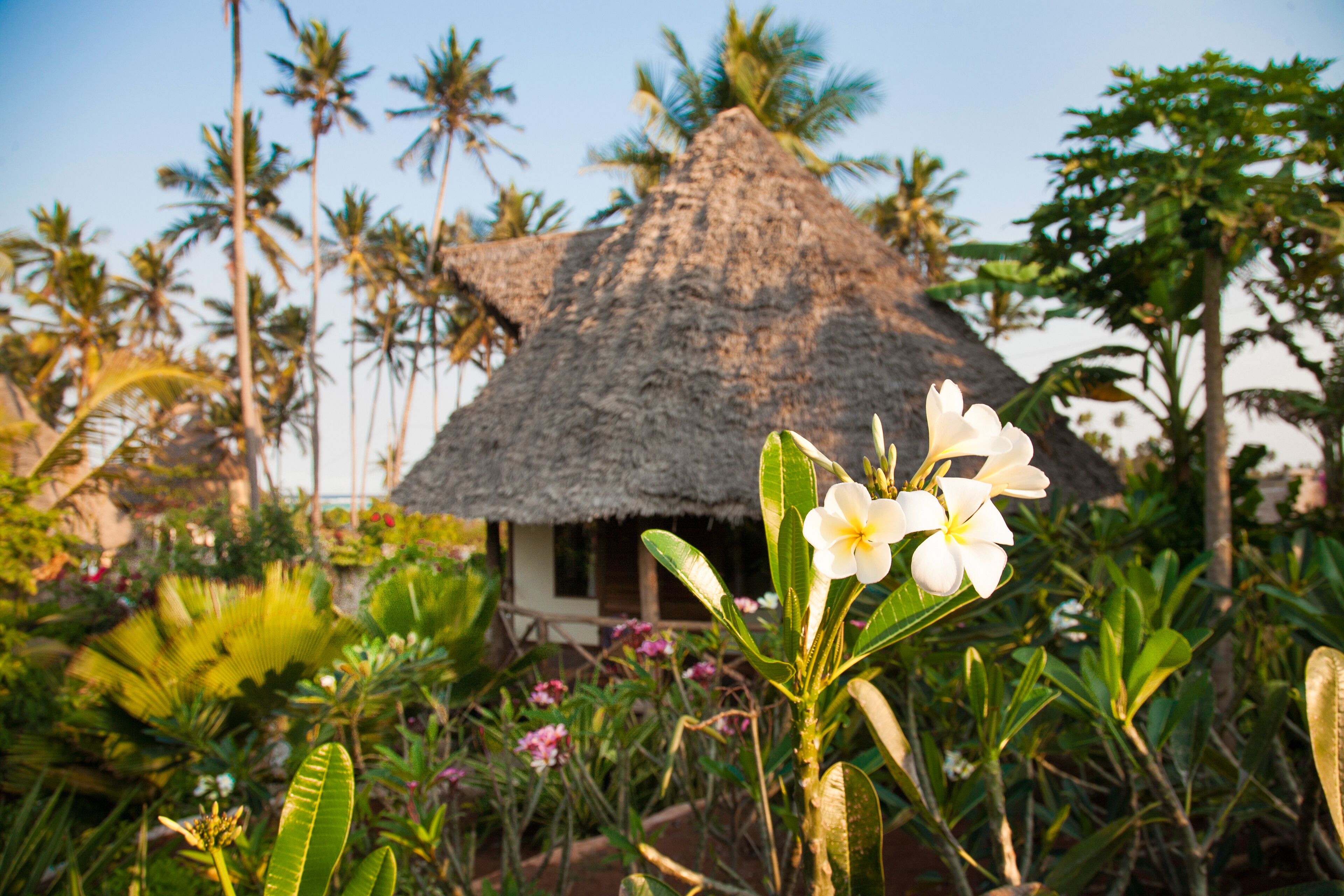SeVi Boutique Hotel
