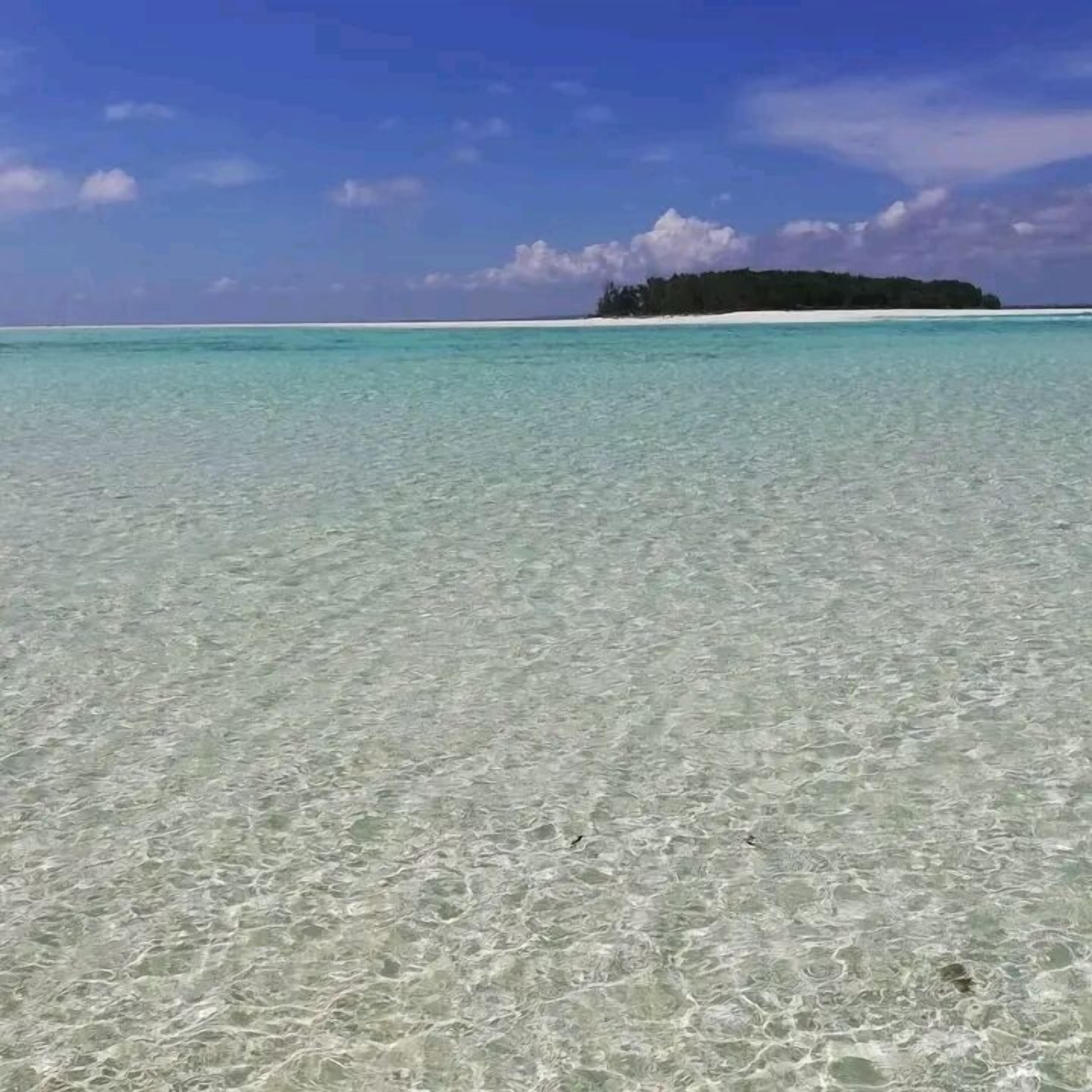 Villa Peace And Color