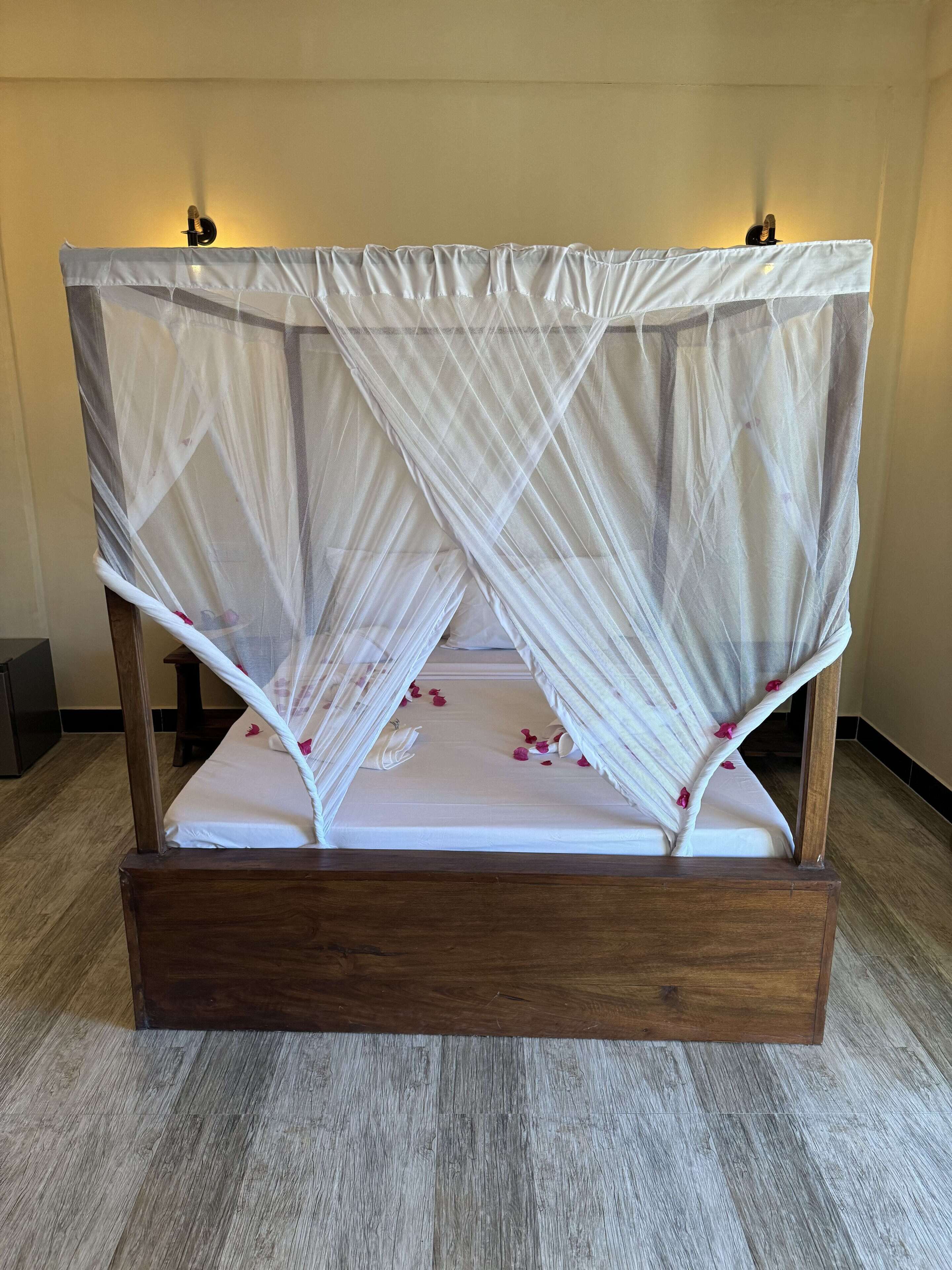 Villa Peace And Color