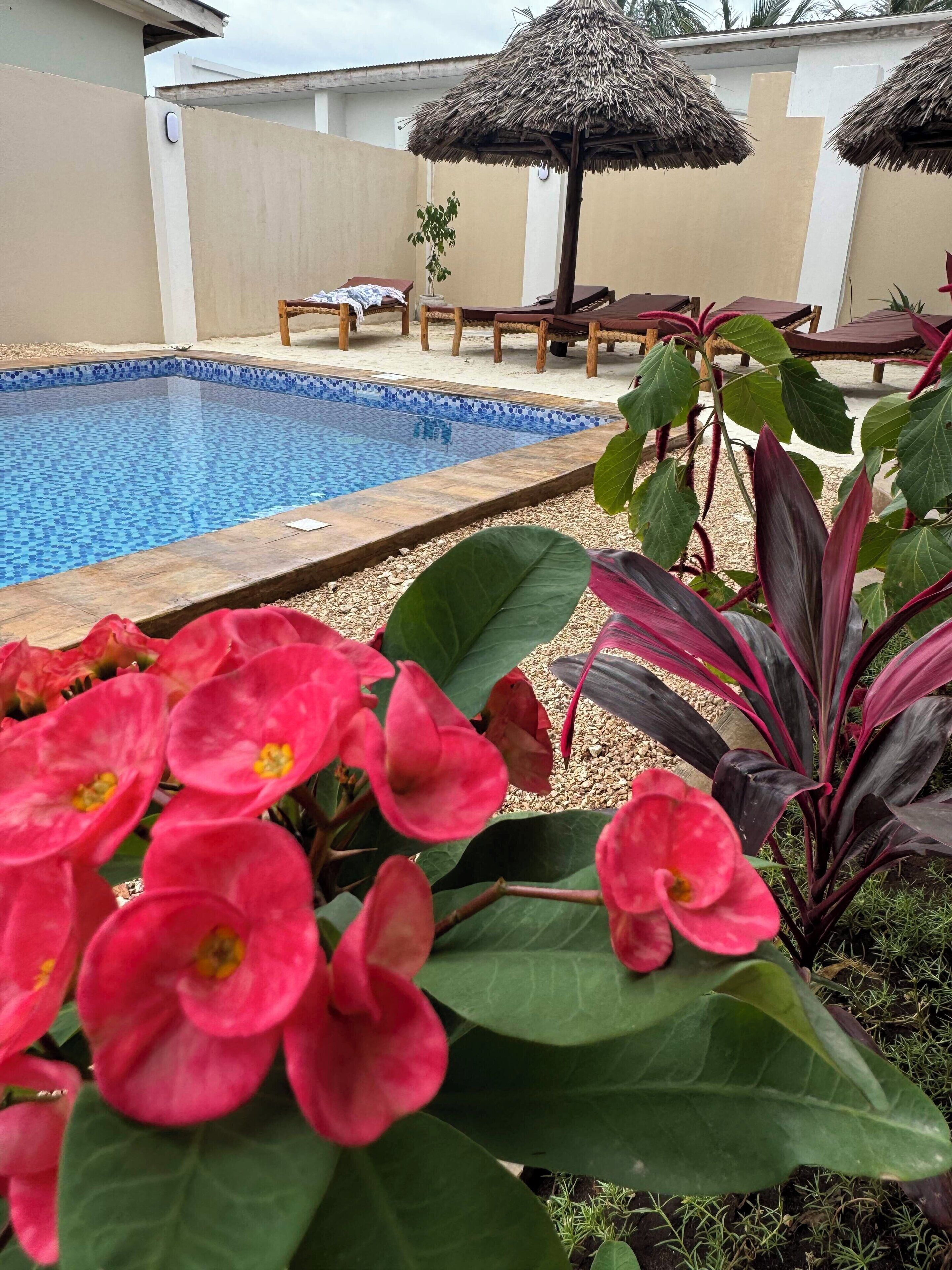 Villa Peace And Color