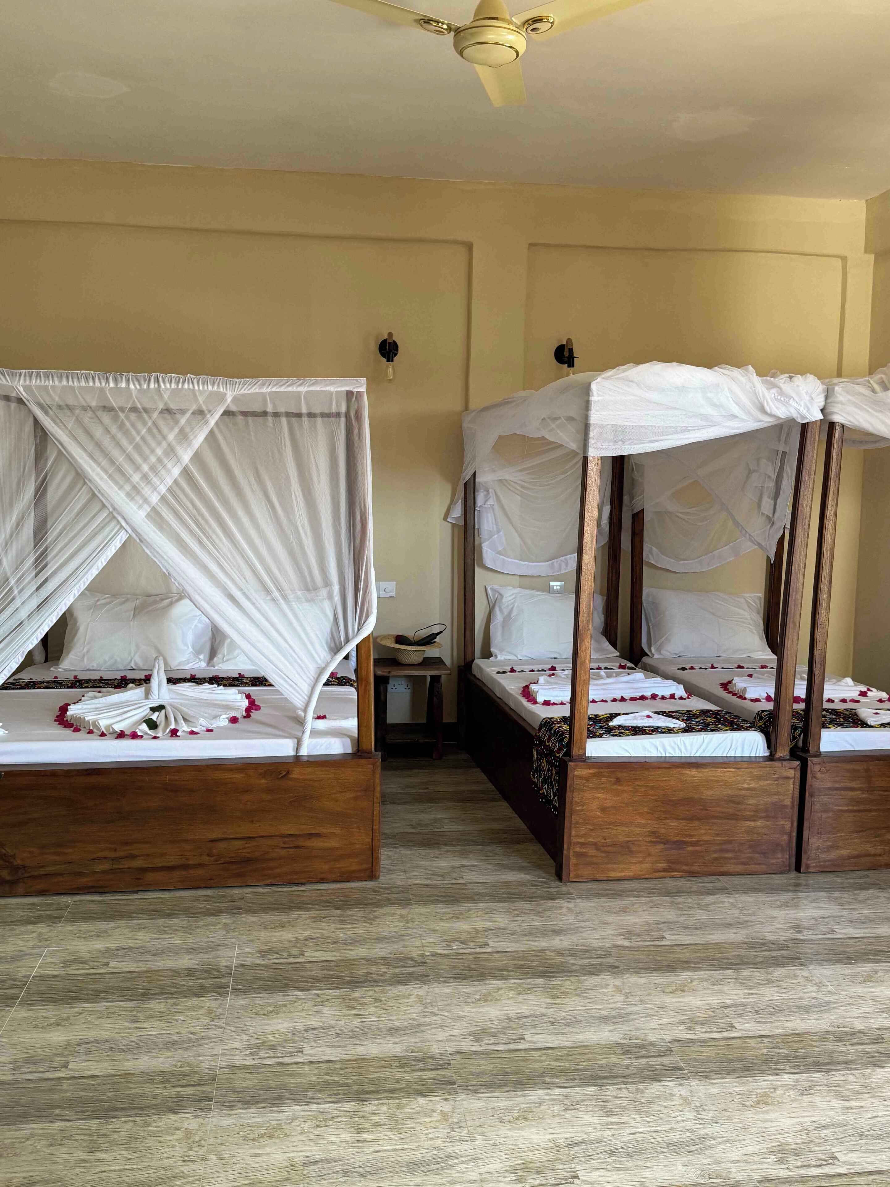 Villa Peace And Color