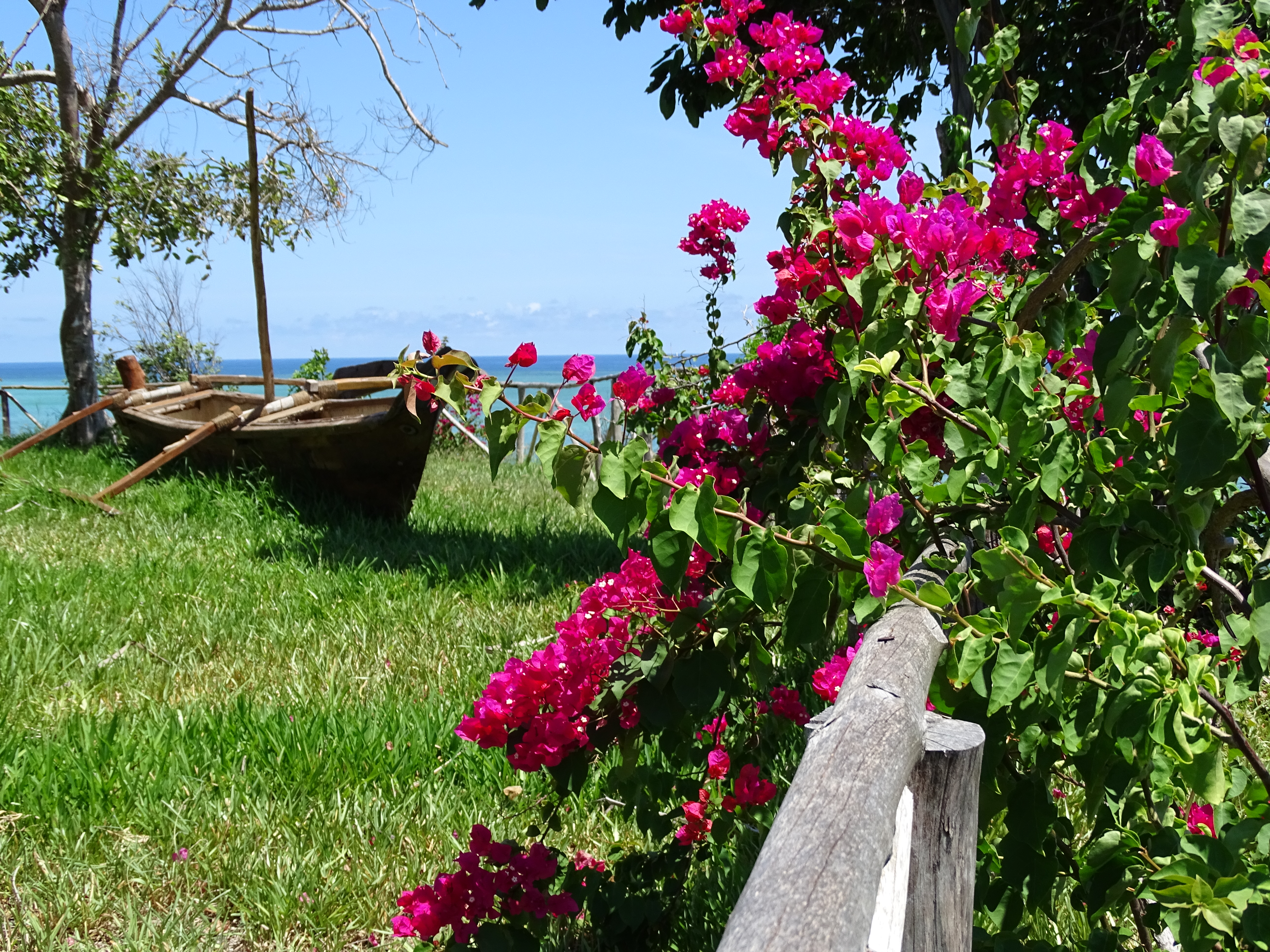 Pearl Beach by Sansi