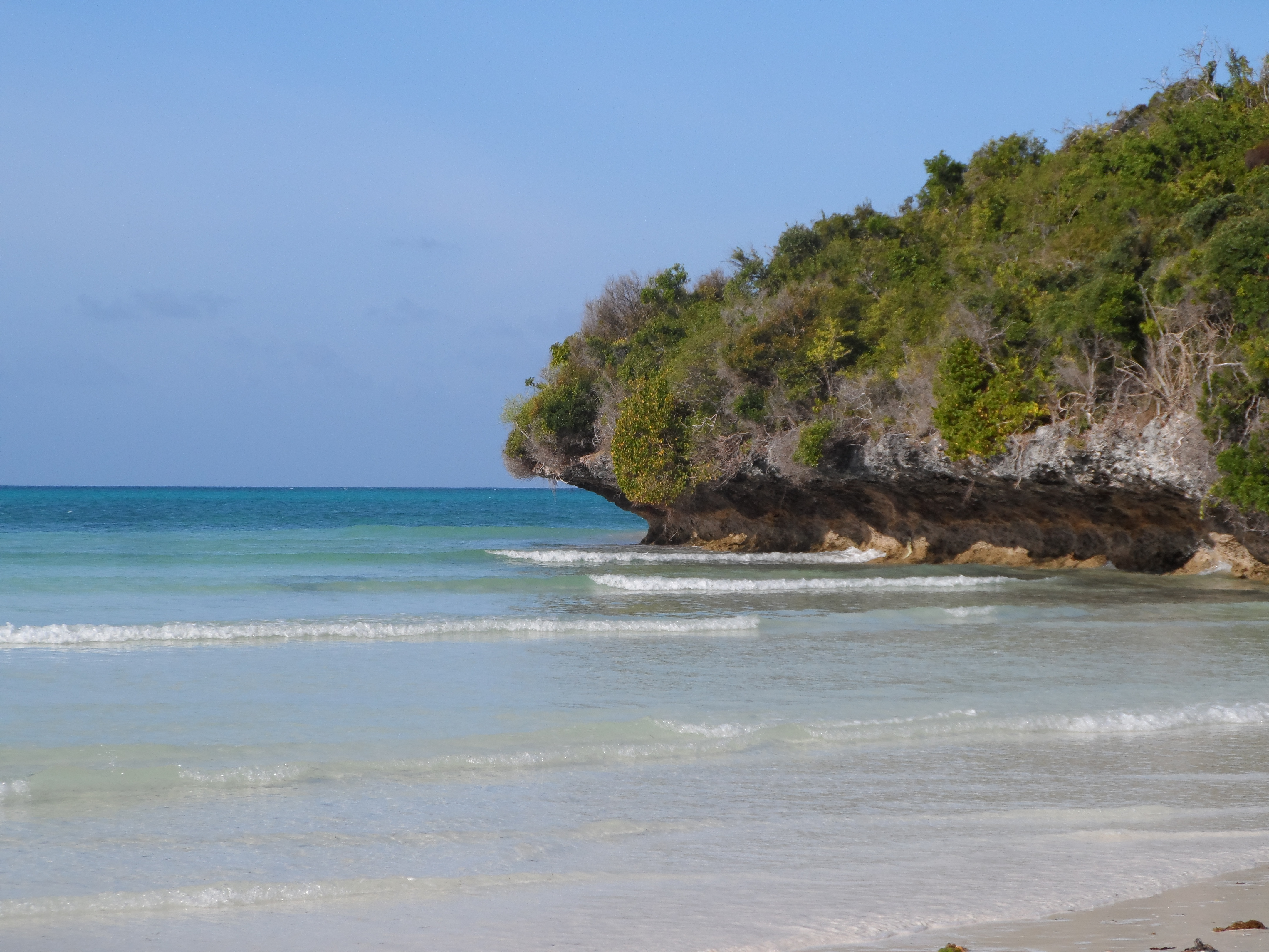 Pearl Beach by Sansi