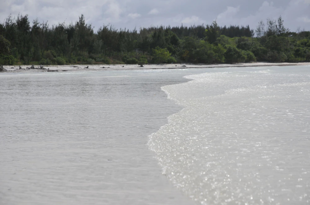 Pearl Beach by Sansi
