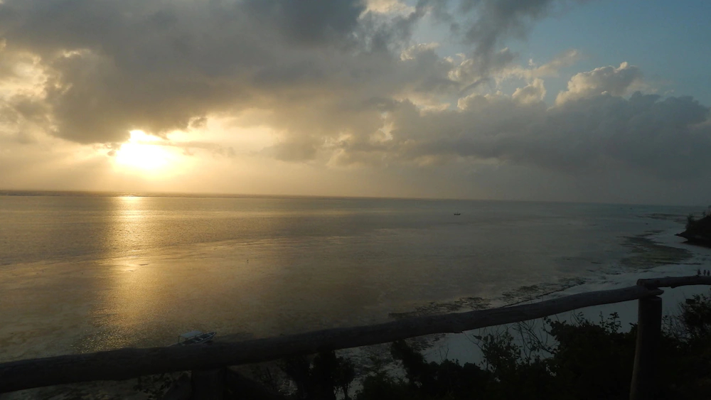 Pearl Beach by Sansi