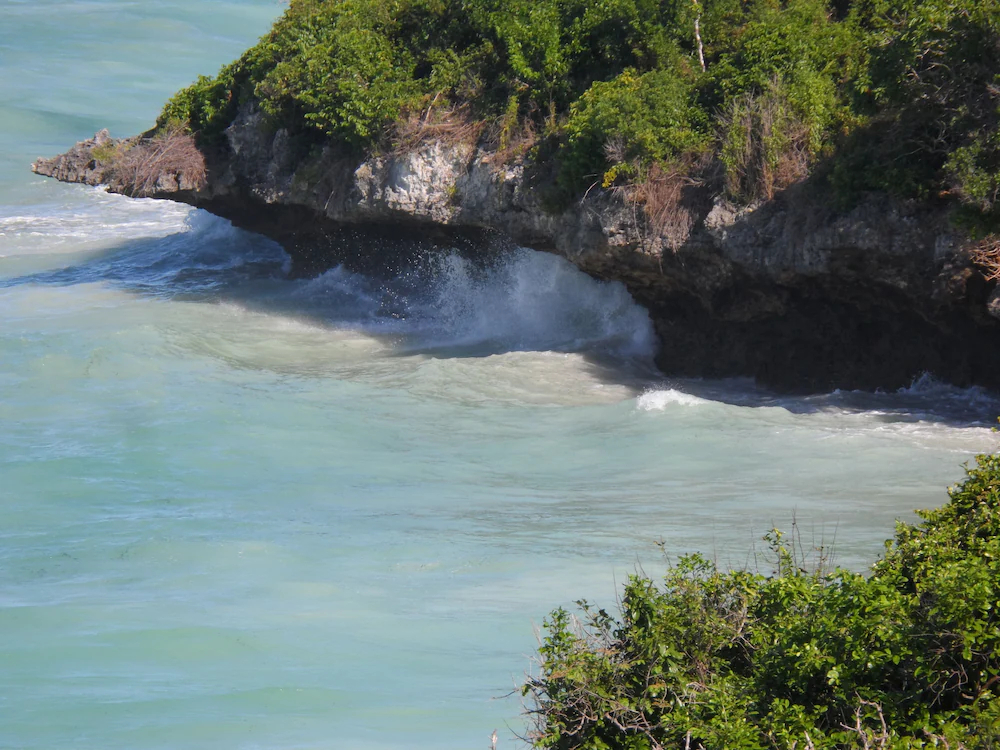 Pearl Beach by Sansi