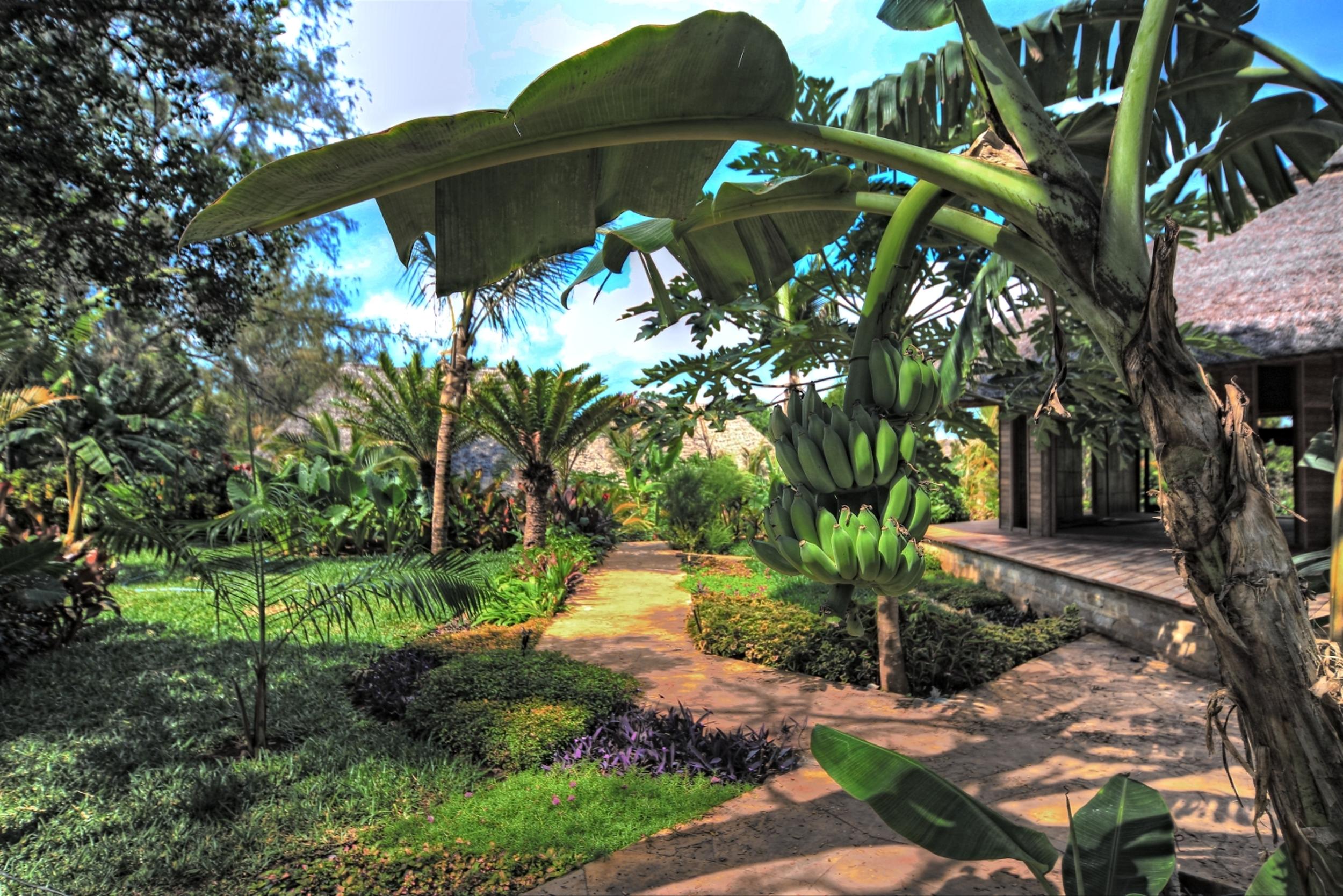 Tulia Zanzibar Unique Beach Resort