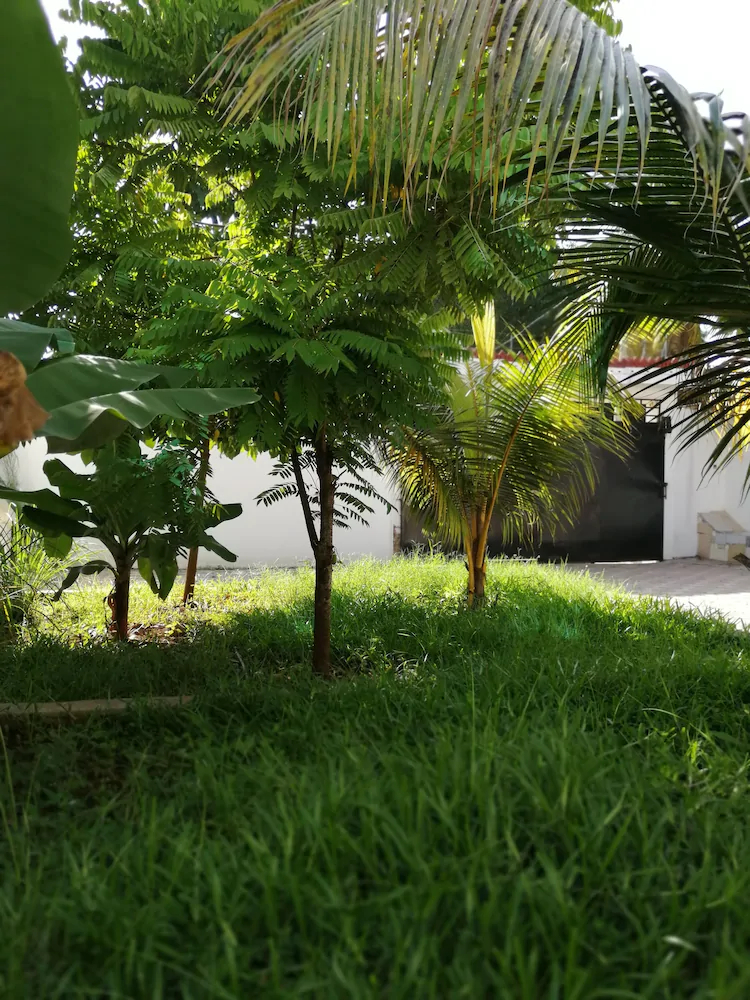 Salhiya Lodge - Hostel