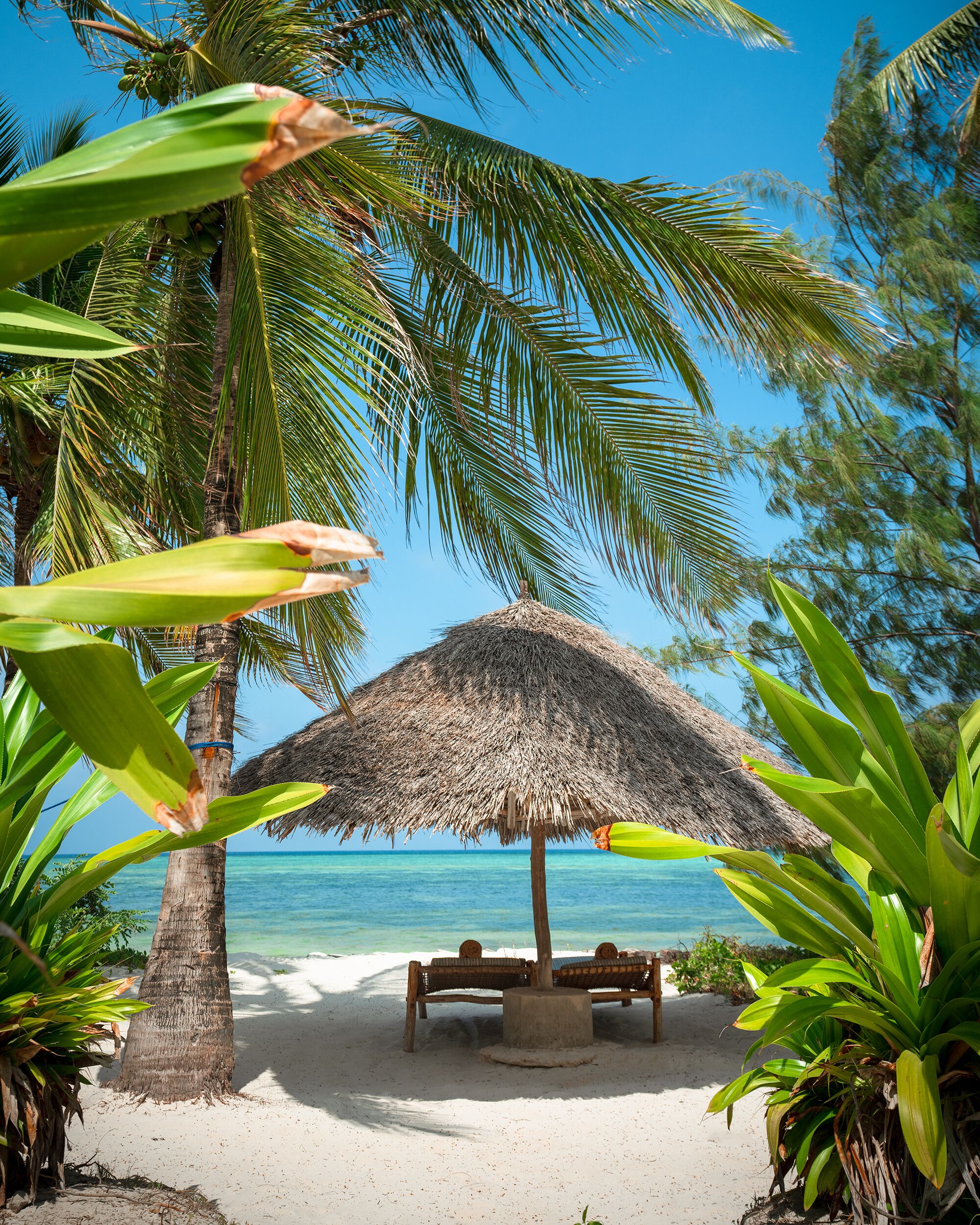 Xanadu Luxury Villas