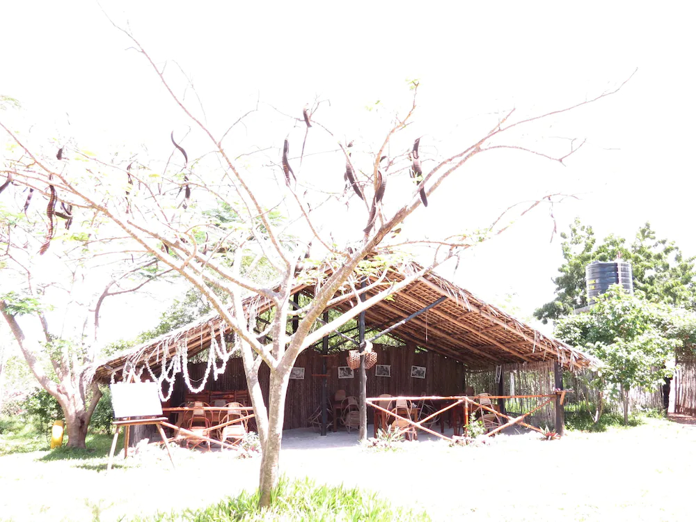 Zeru Zeru Eco Local Wild Lodge