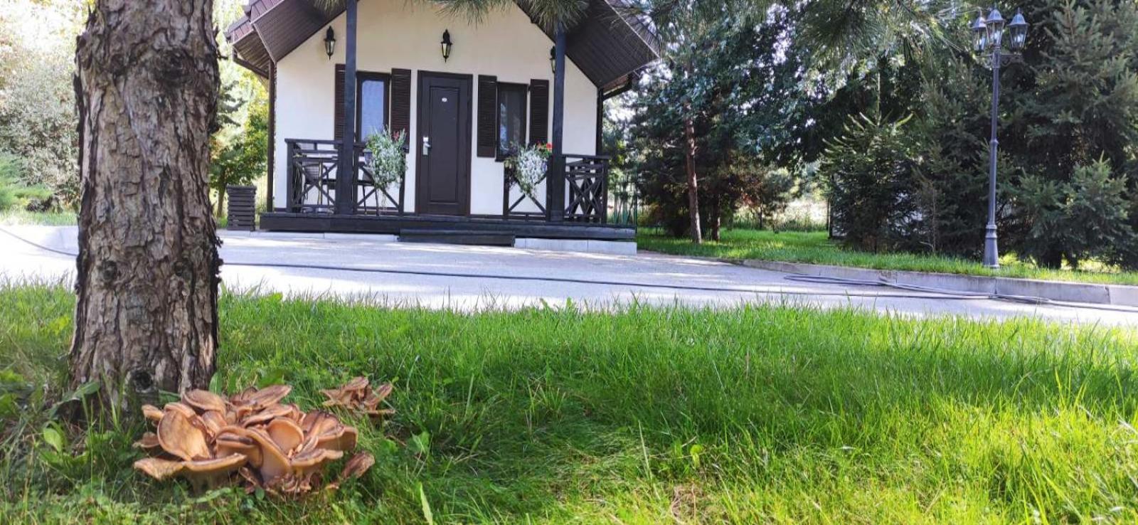 Park-Hotel Kidev
