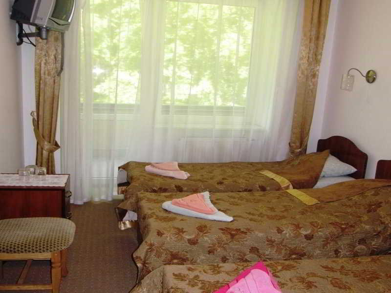 Svitlytsya Hotel