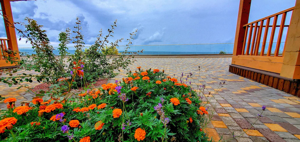 Chayka Resort