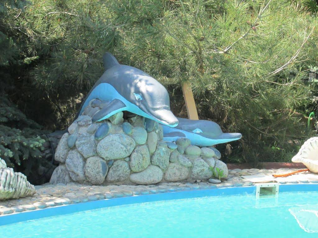 Nautilus
