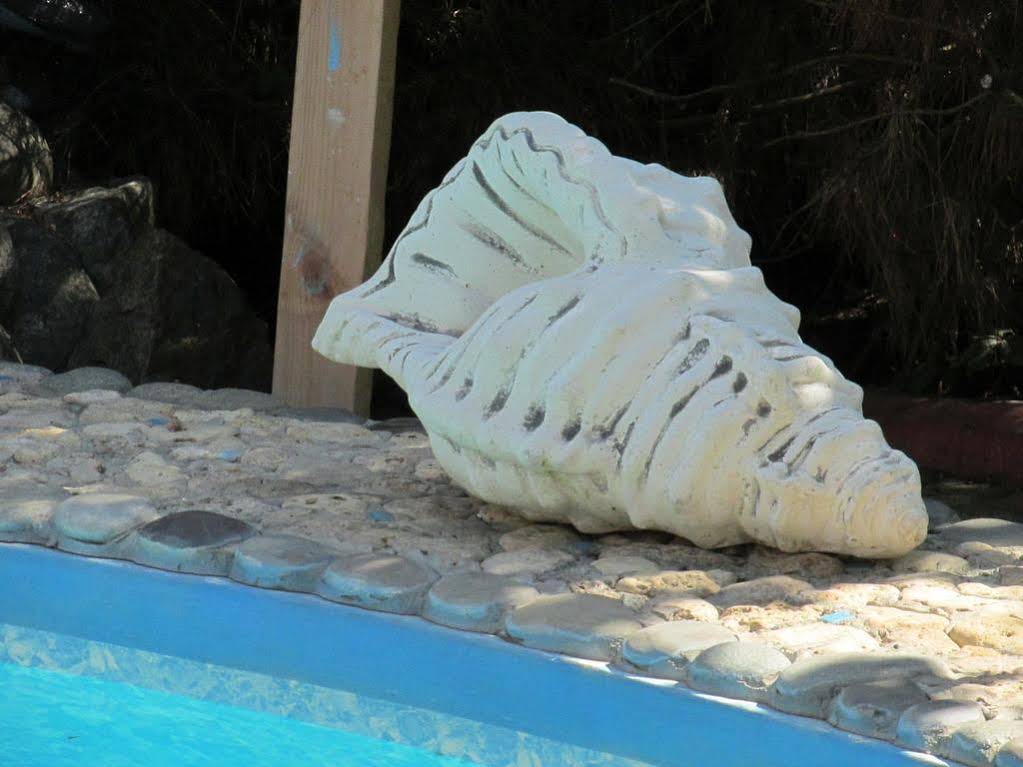 Nautilus