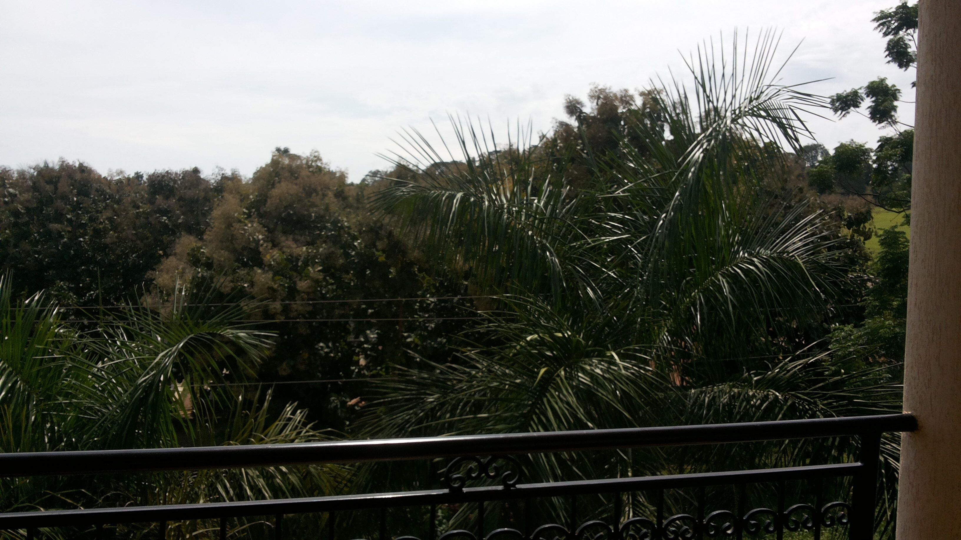 Rosevilla Hotel