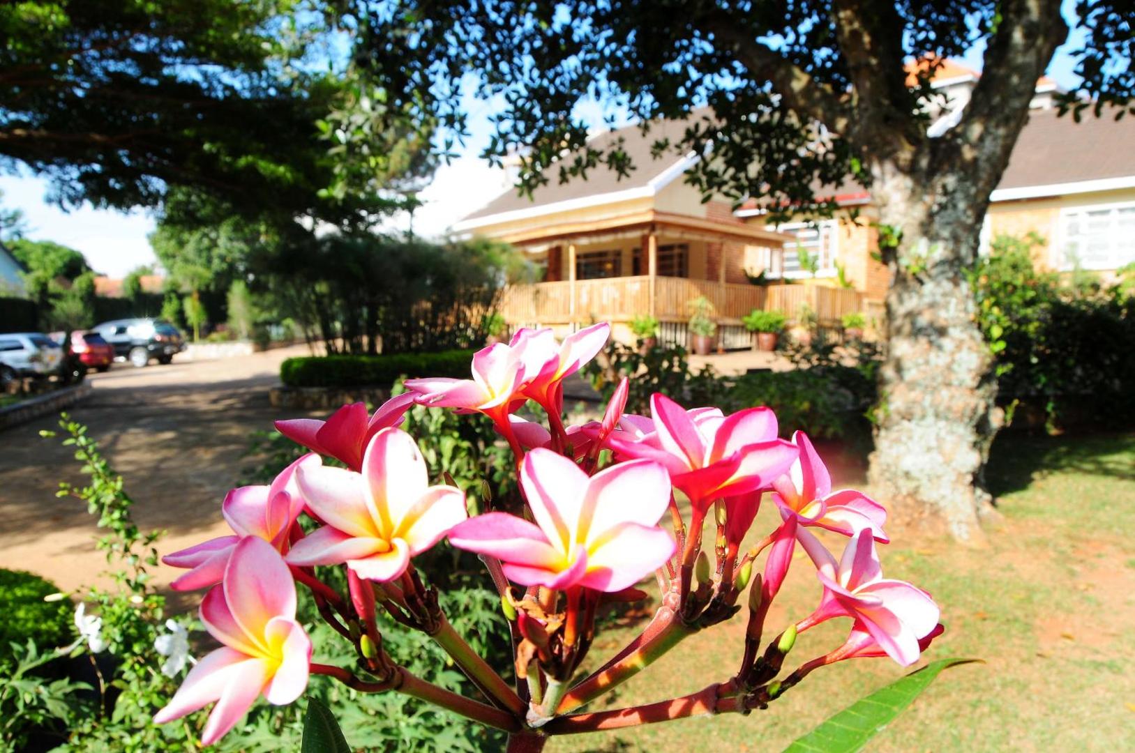 Papyrus Guesthouse Entebbe