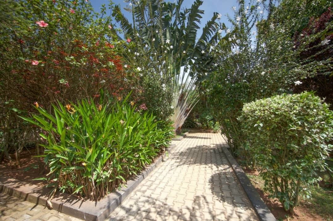 Papyrus Guesthouse Entebbe