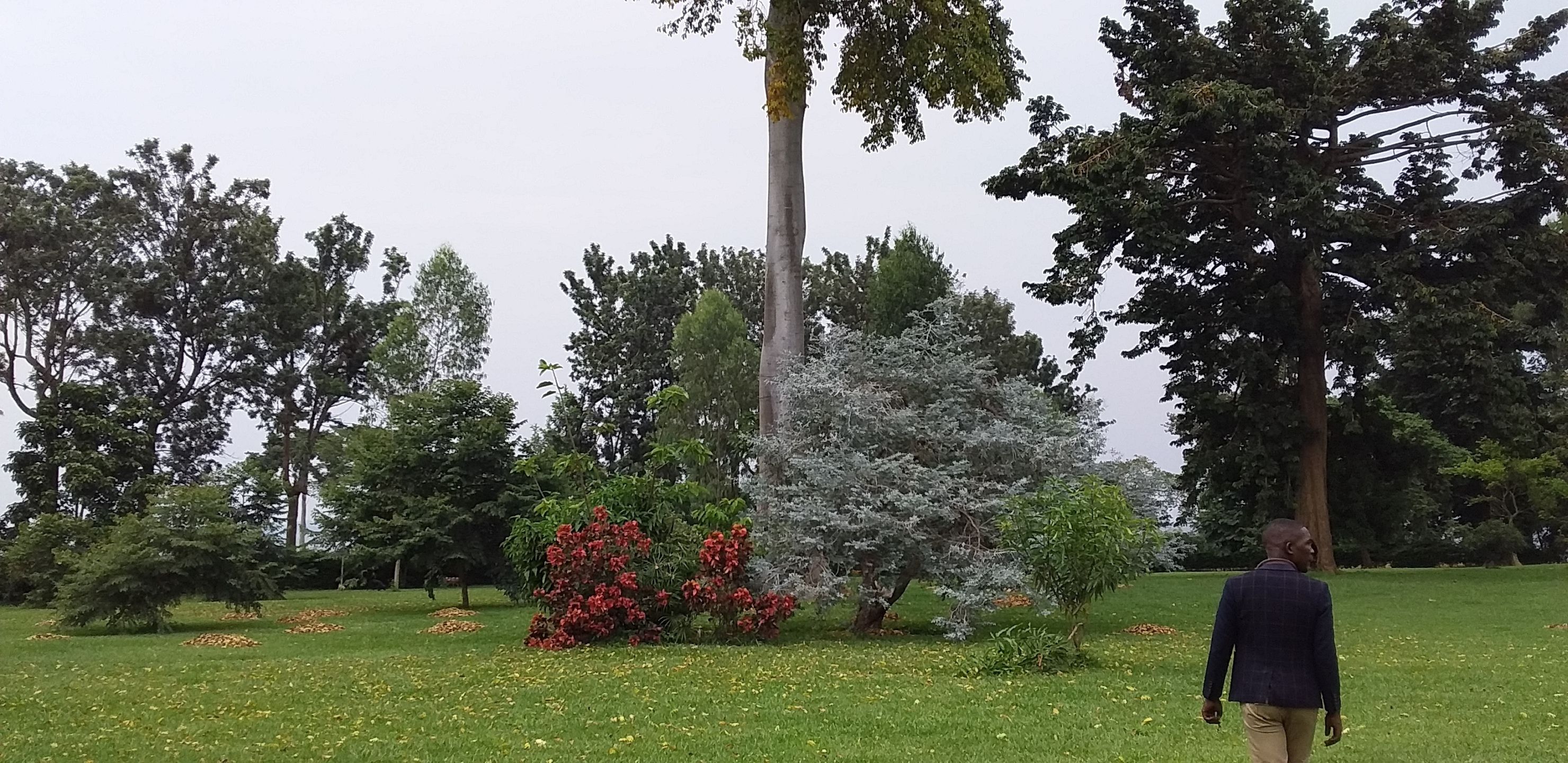 The Estate Ebwerenga