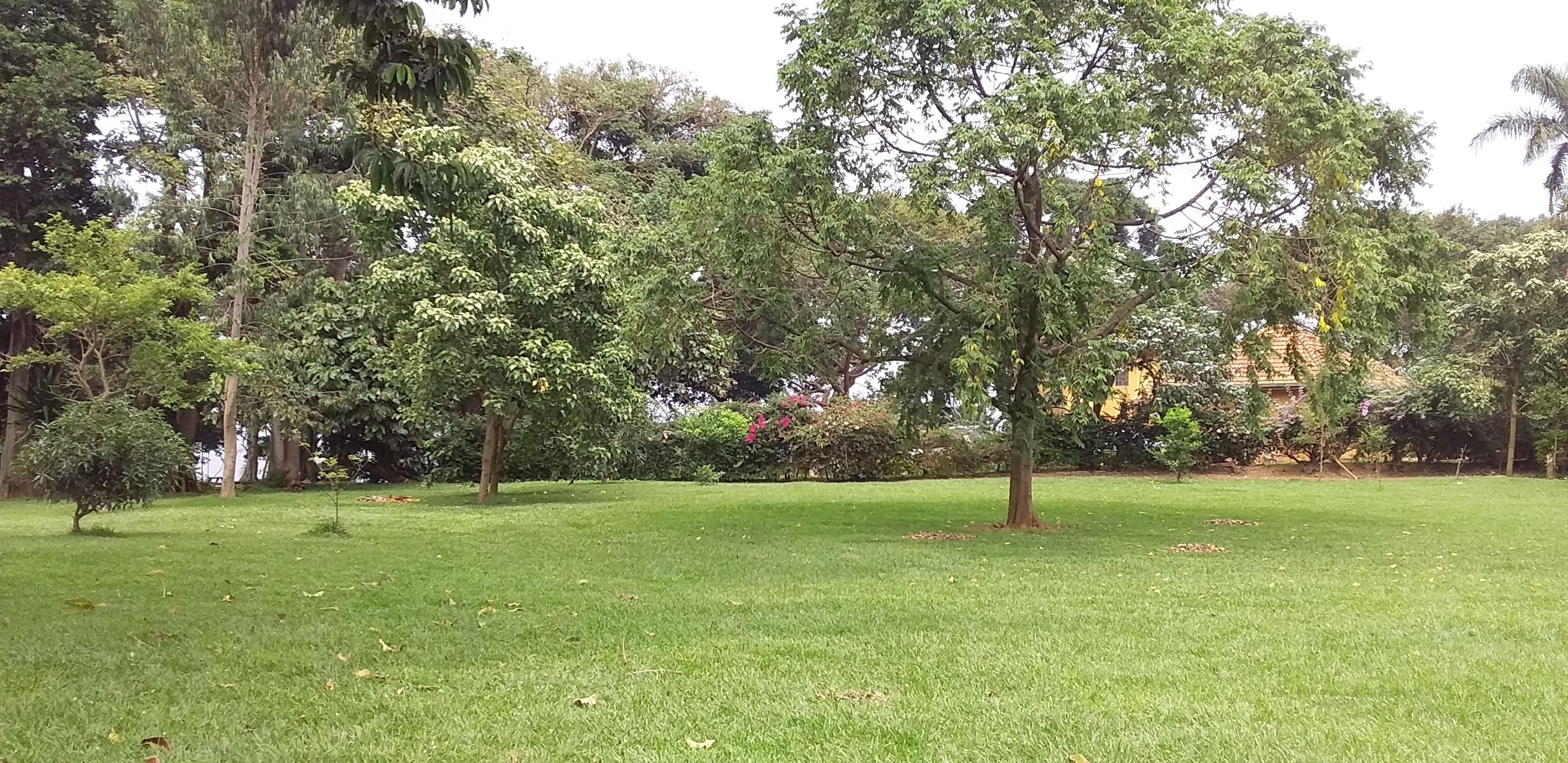 The Estate Ebwerenga