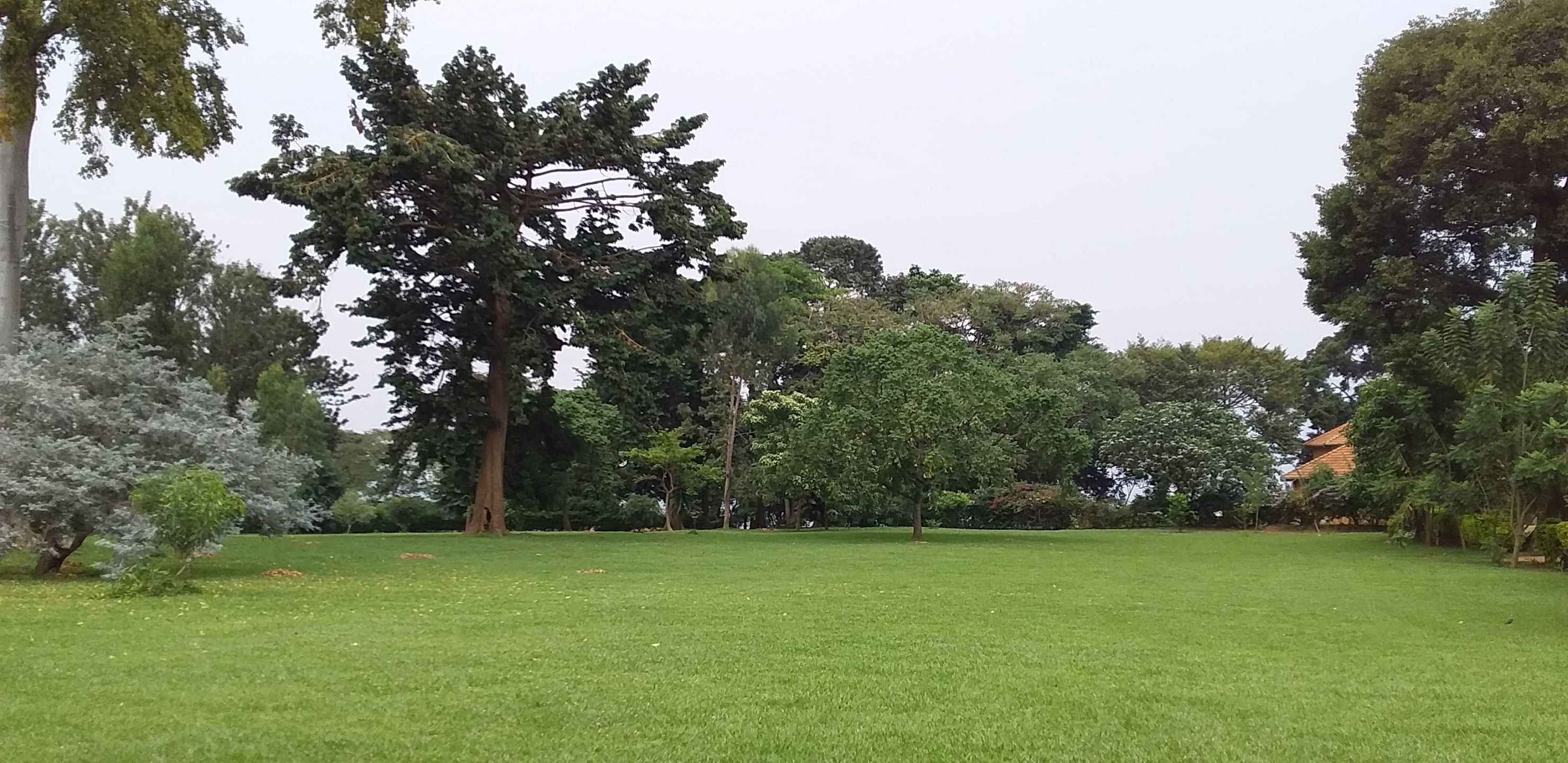 The Estate Ebwerenga