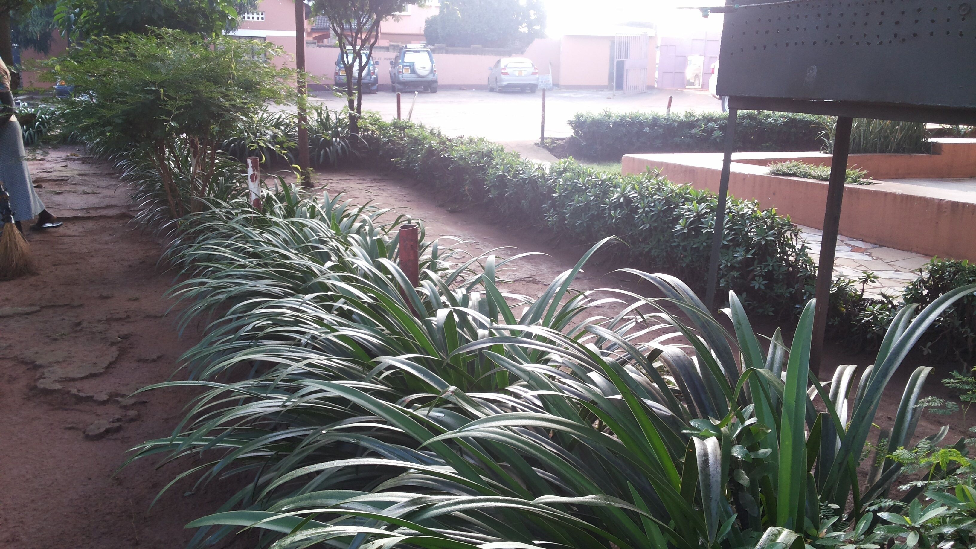 Garden Inn