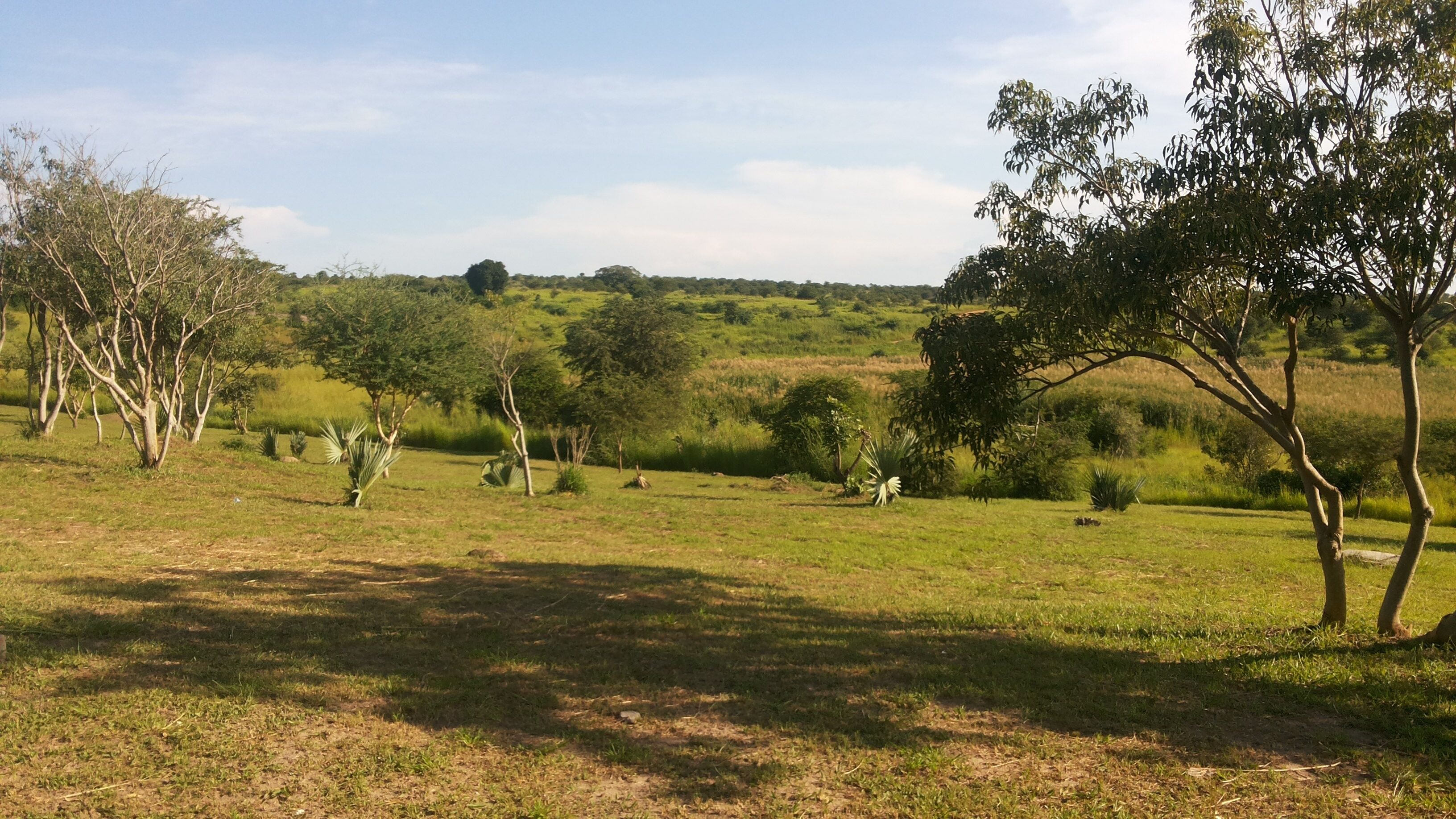 Parkside Safari Lodge