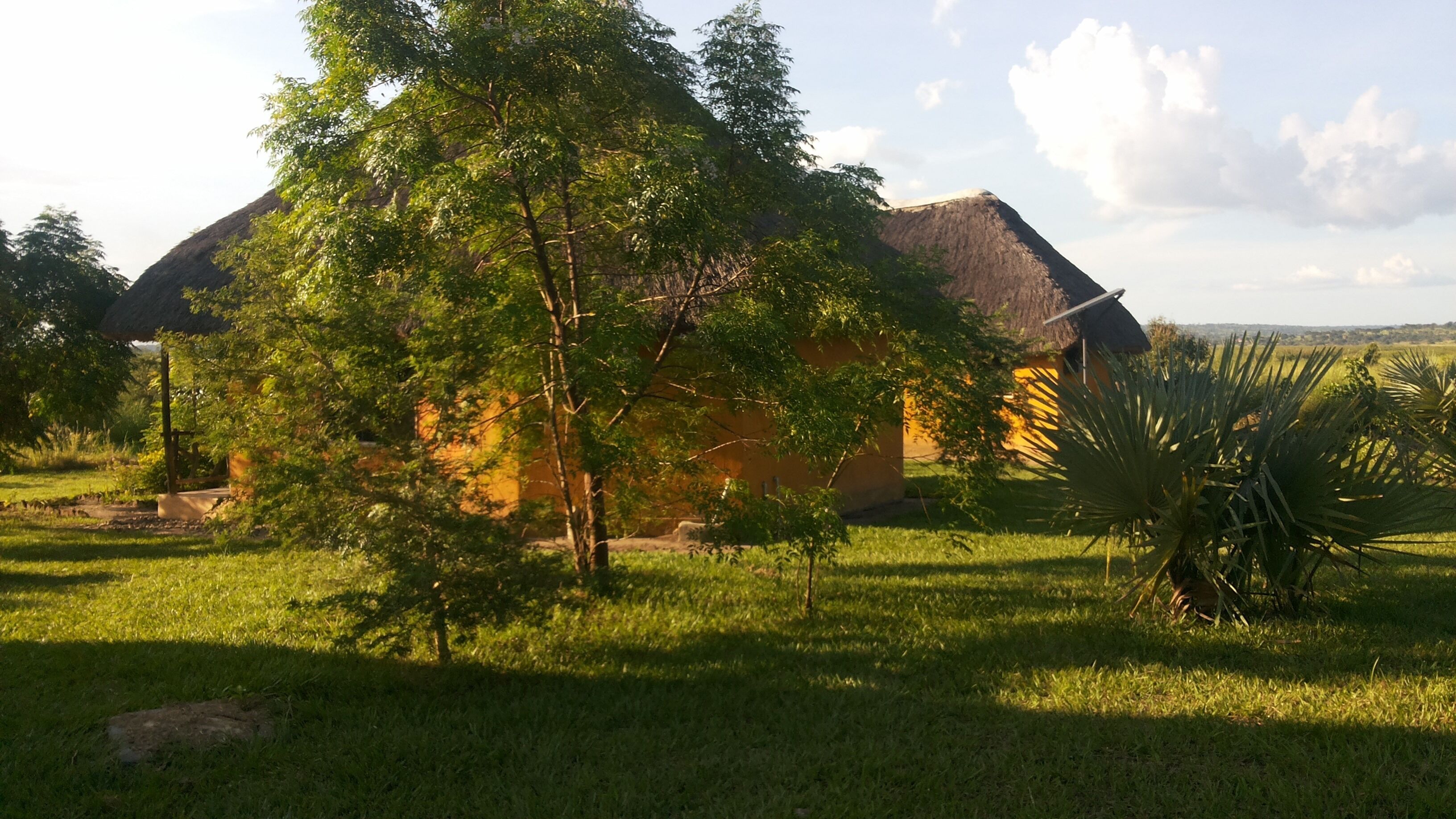 Twiga Tales Safari