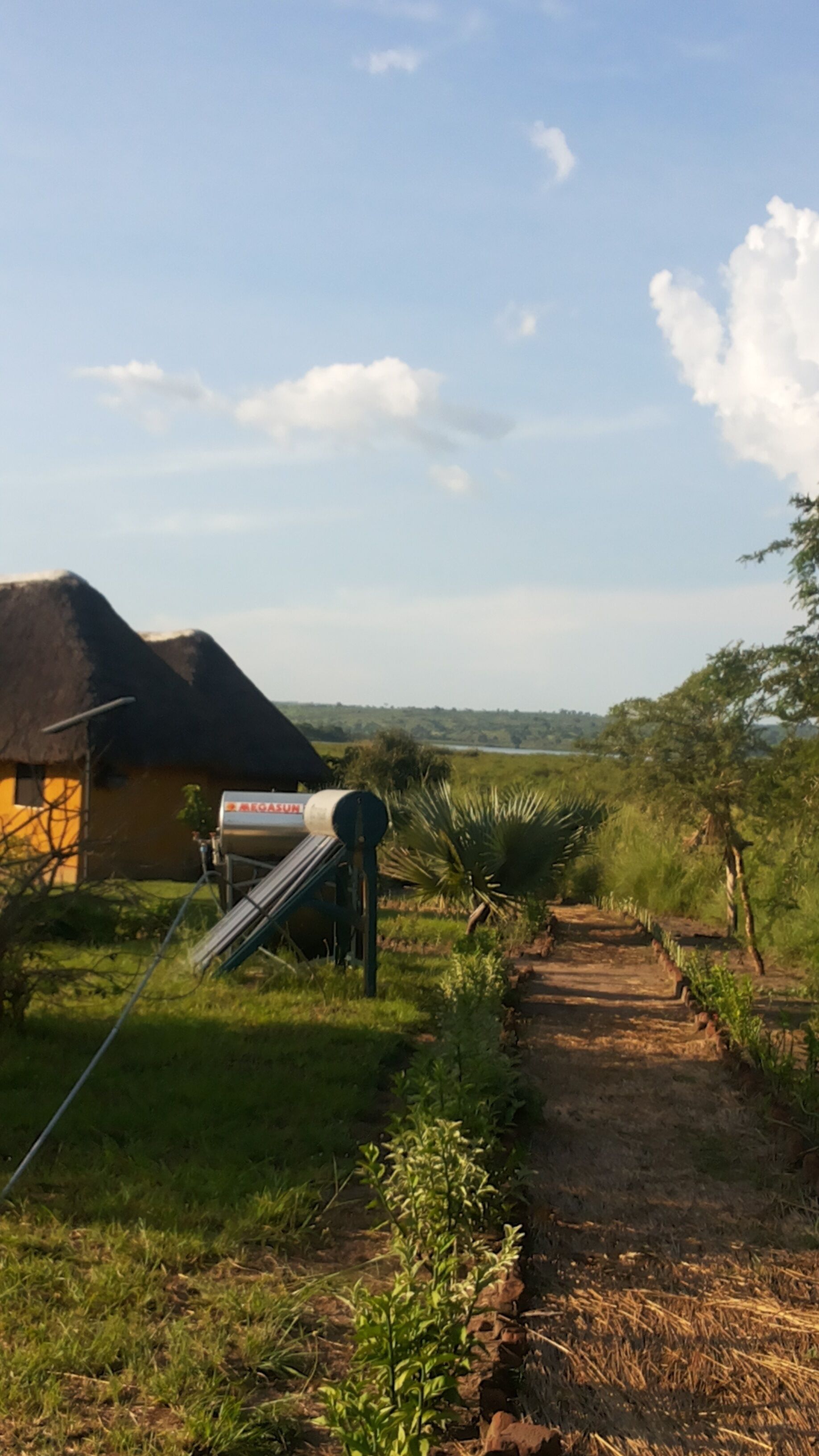 Twiga Tales Safari