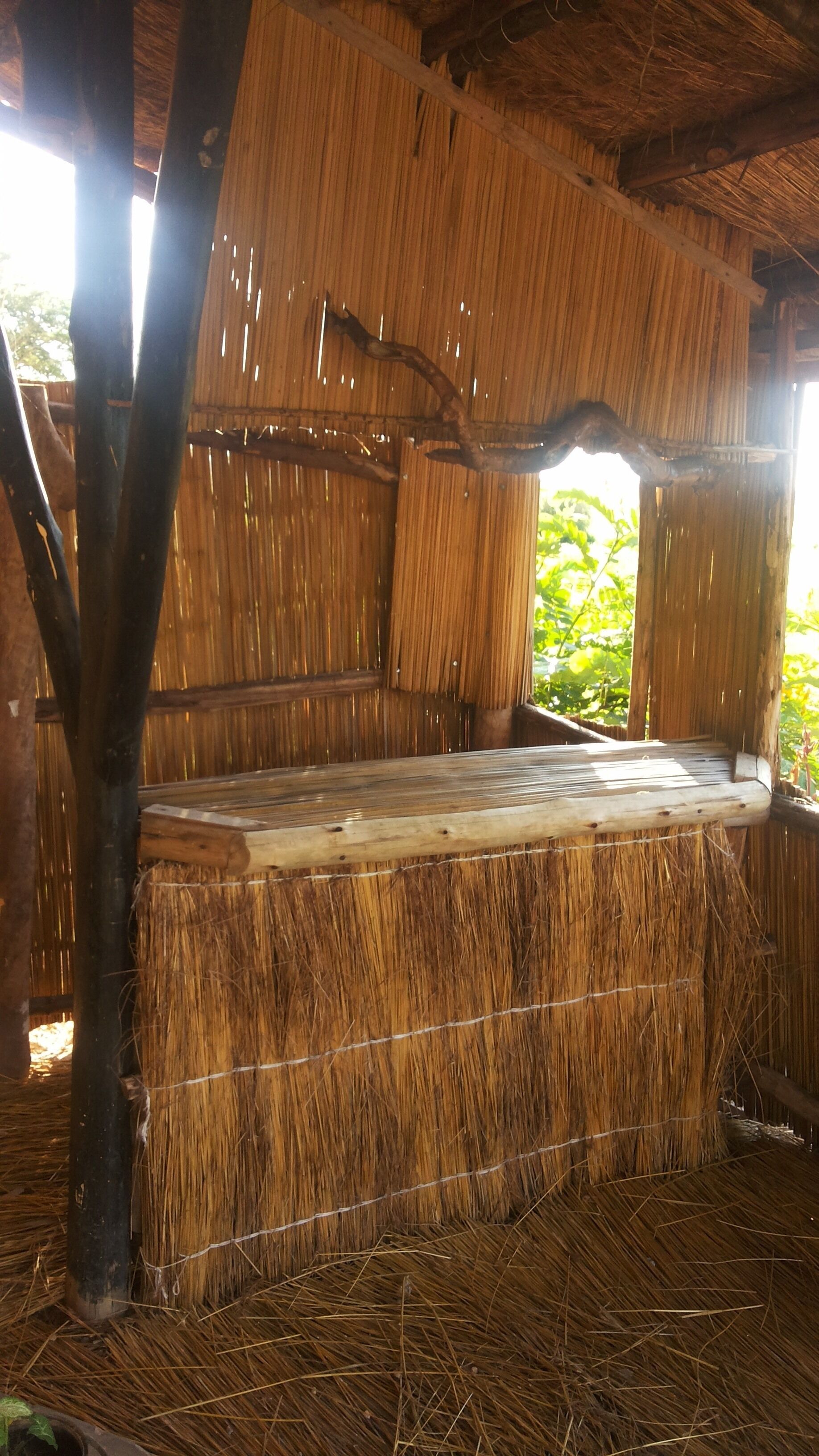 Twiga Tales Safari