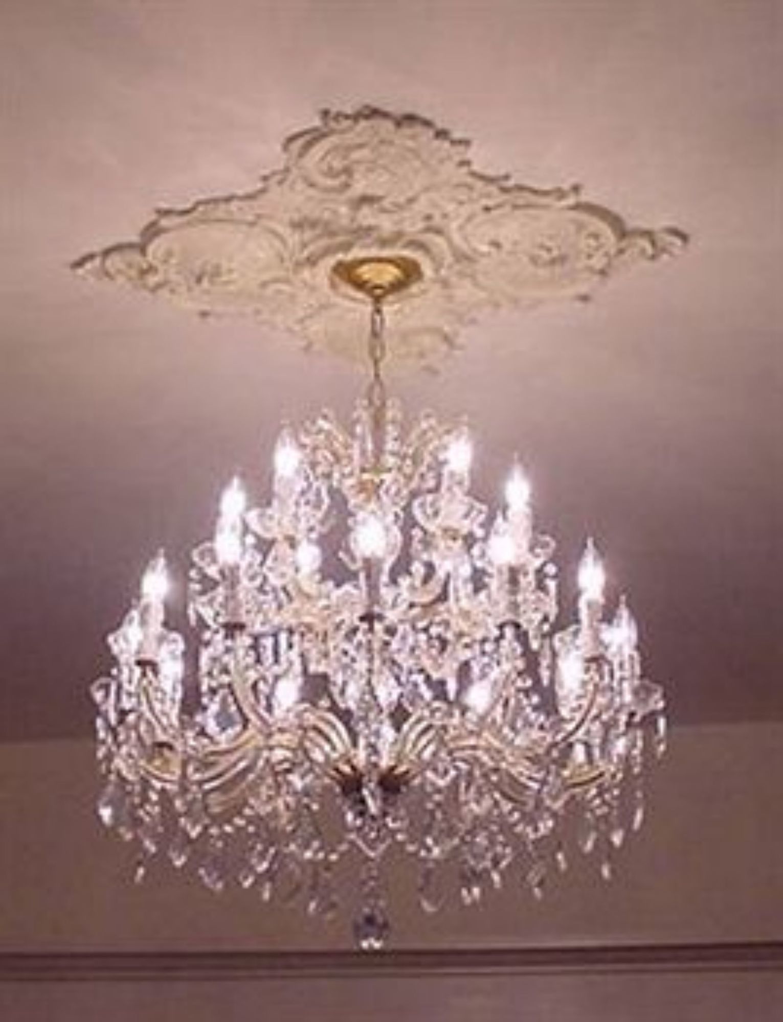 Birmingham Tree House