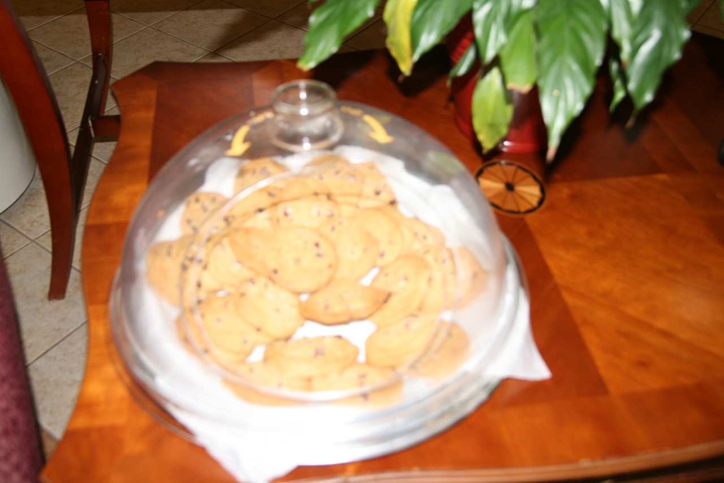 Hampton Inn and Suites Fultondale Birmingham I 65