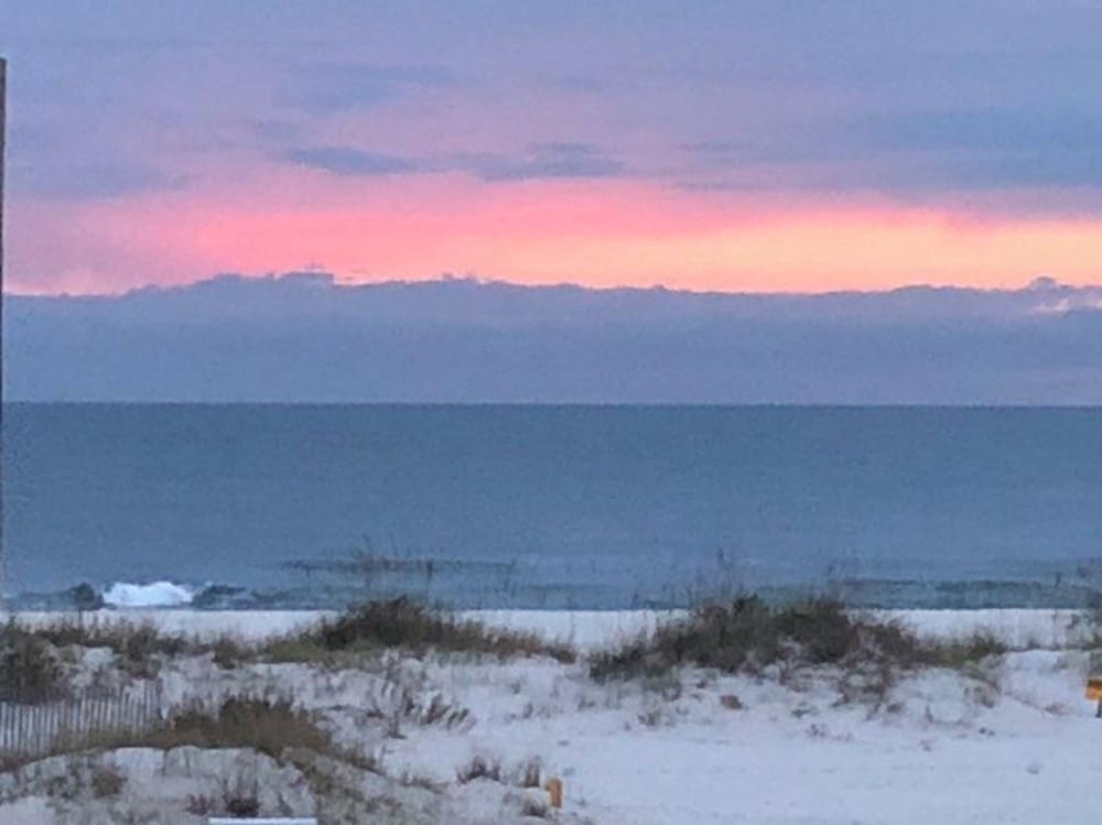 Dream Catcher by Youngs Suncoast