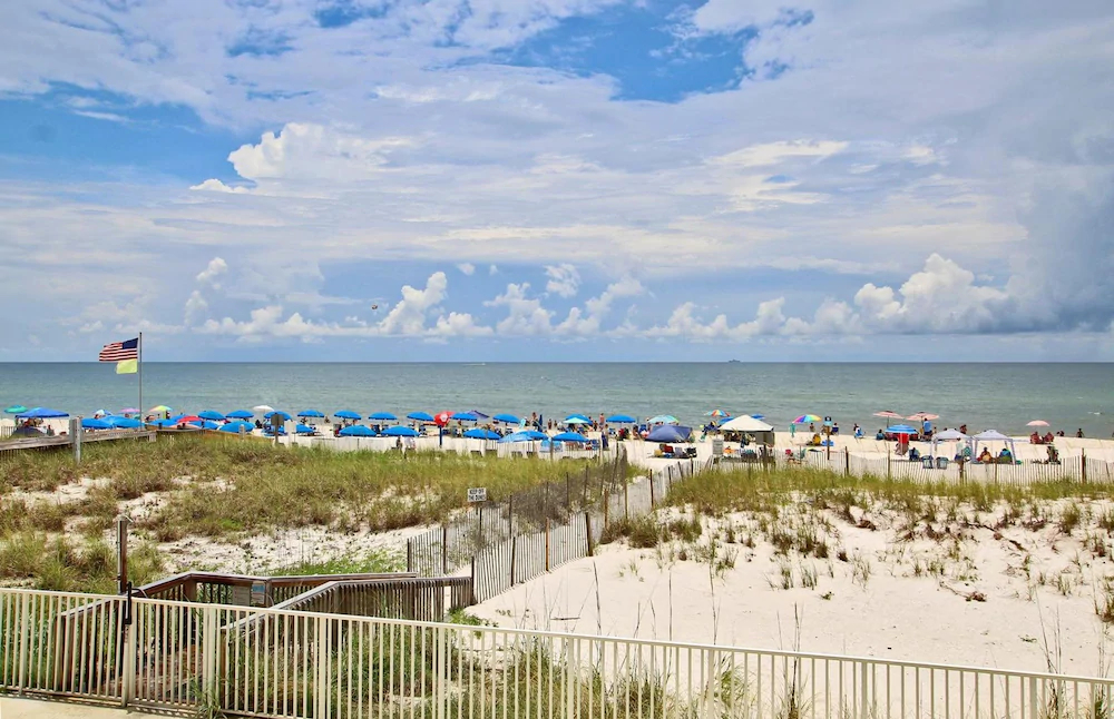 Legacy by Youngs Suncoast